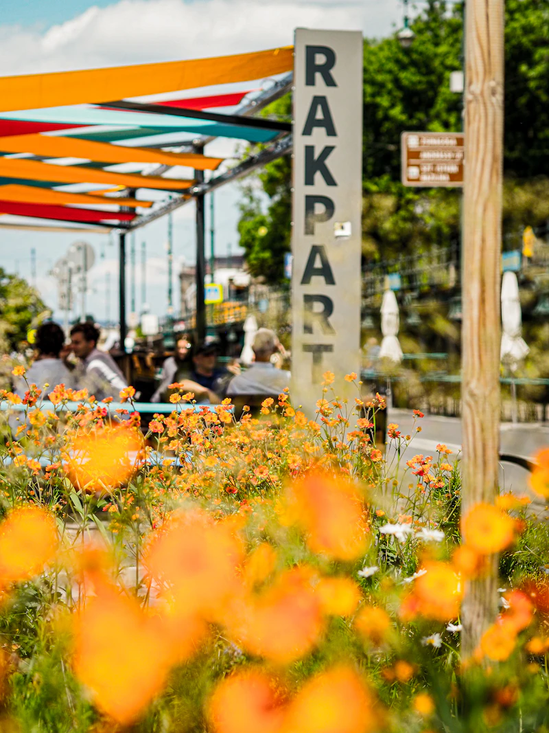 Colorful cafe with blooming flowers