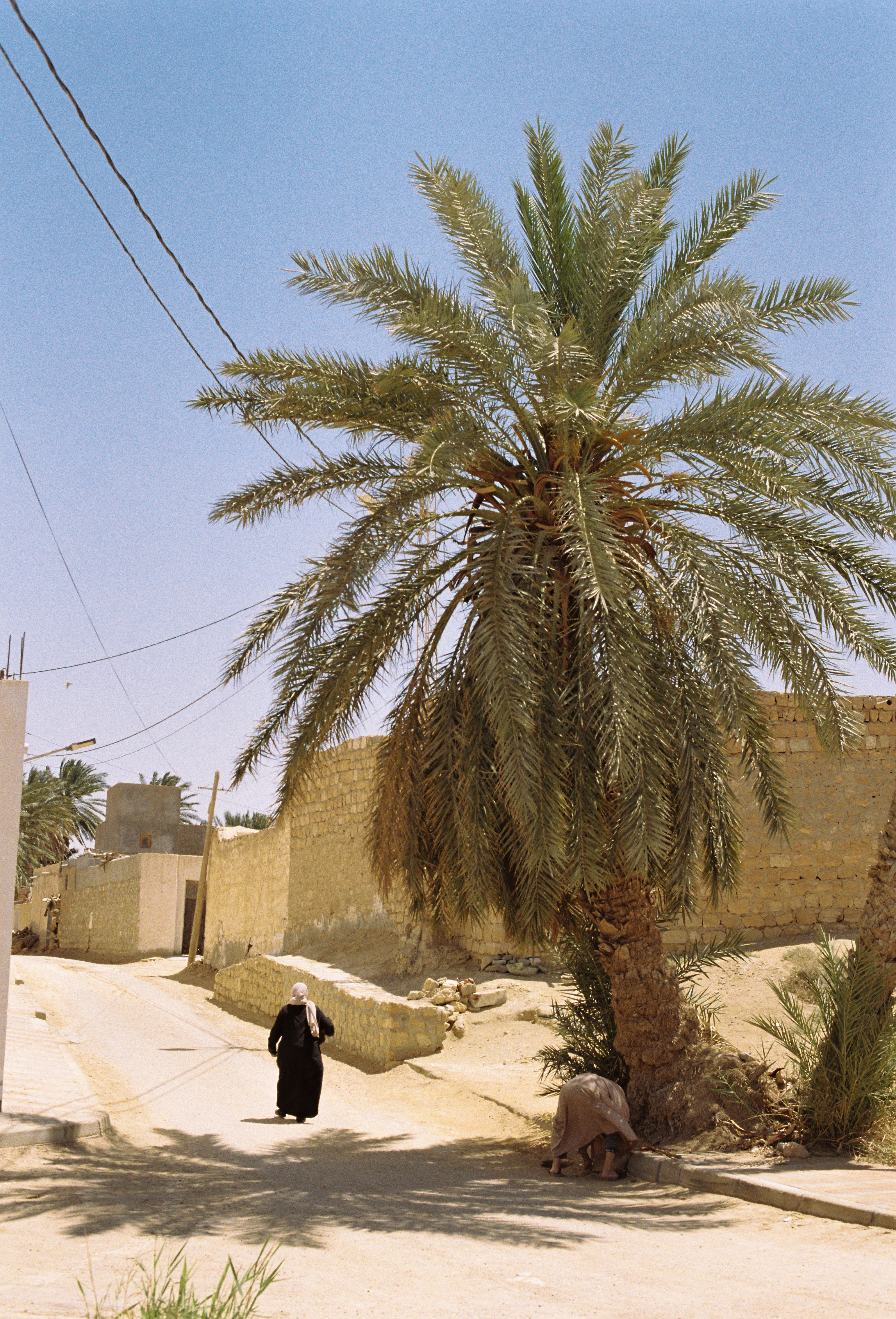 Photo by krowdeed