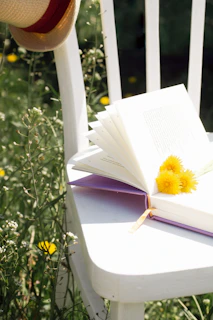 Open book with yellow flowers on a chair