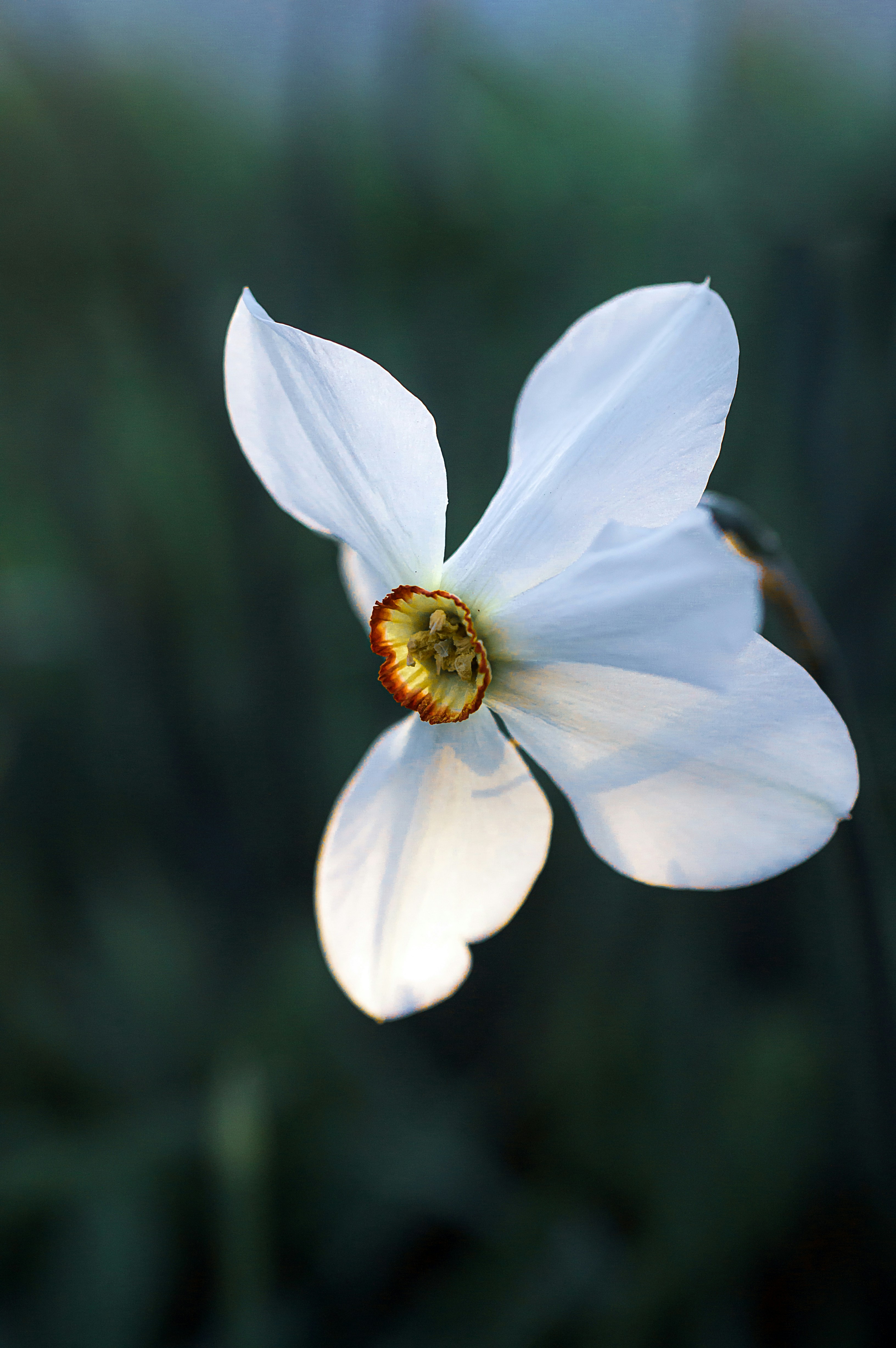 Photo by sicunov