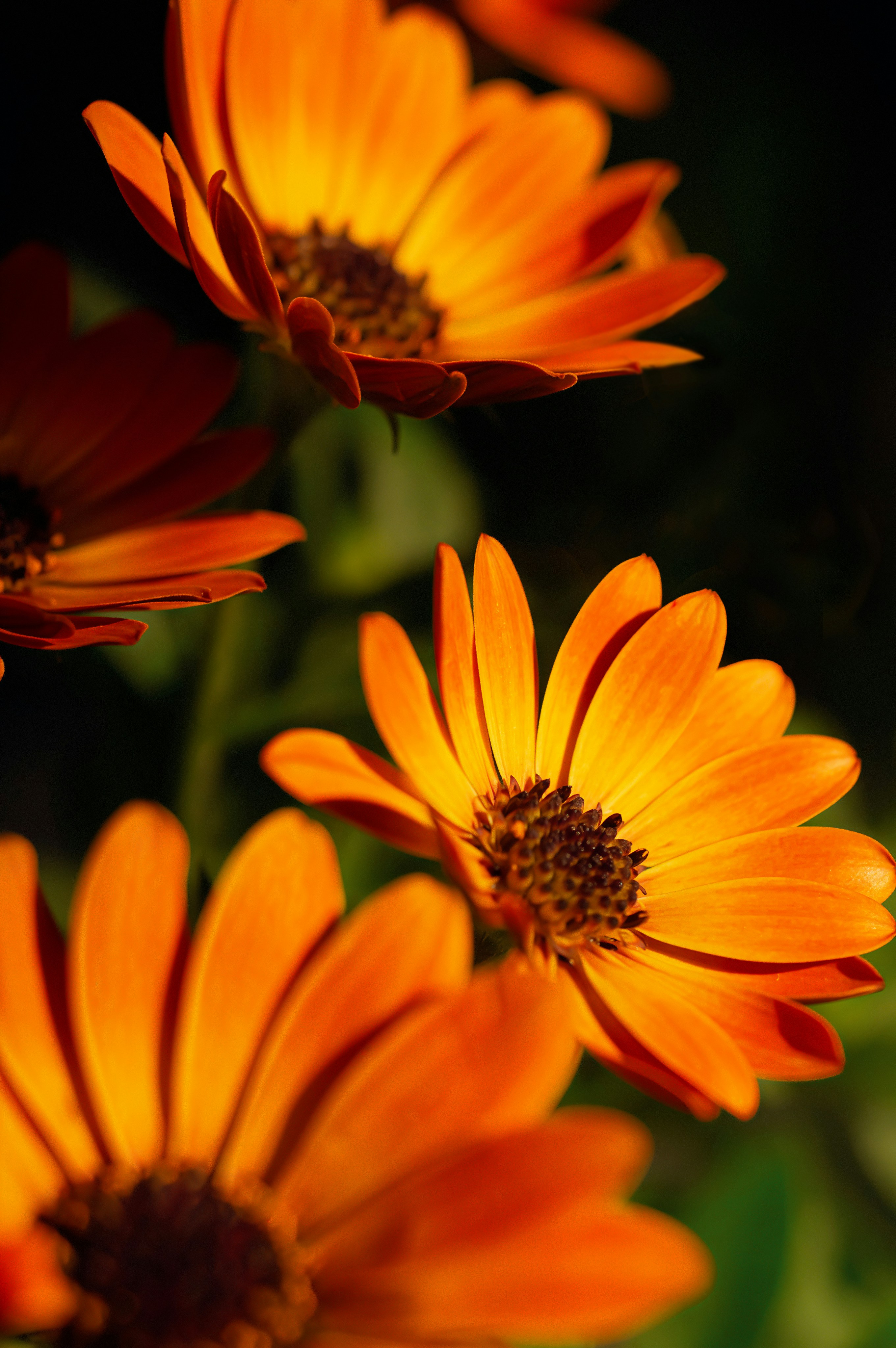 Photo by sicunov