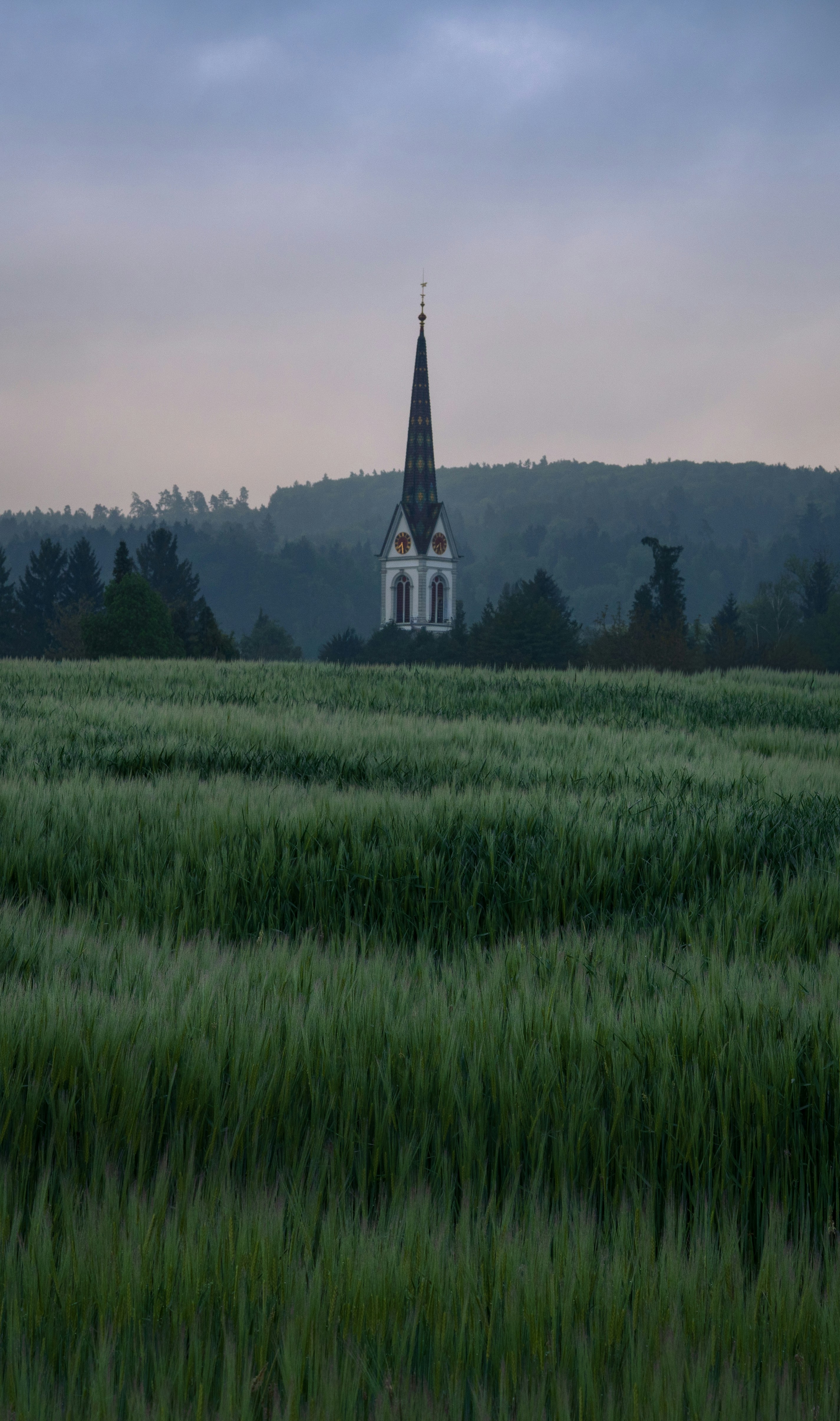 image du jour