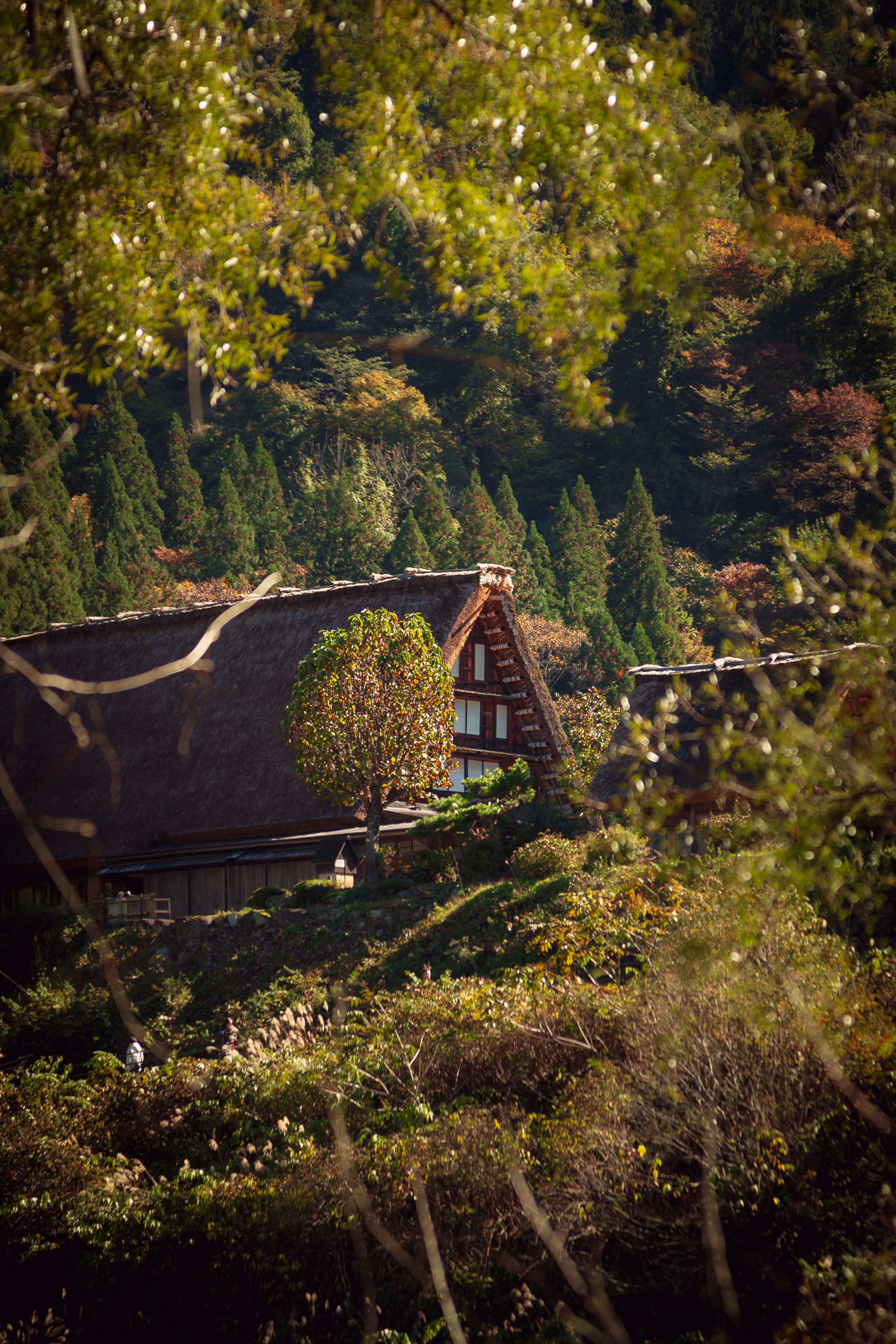 Glamping tent and outdoor hot spring in rural Japan