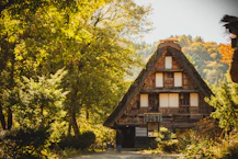 Traditional japanese house surrounded by autumn trees