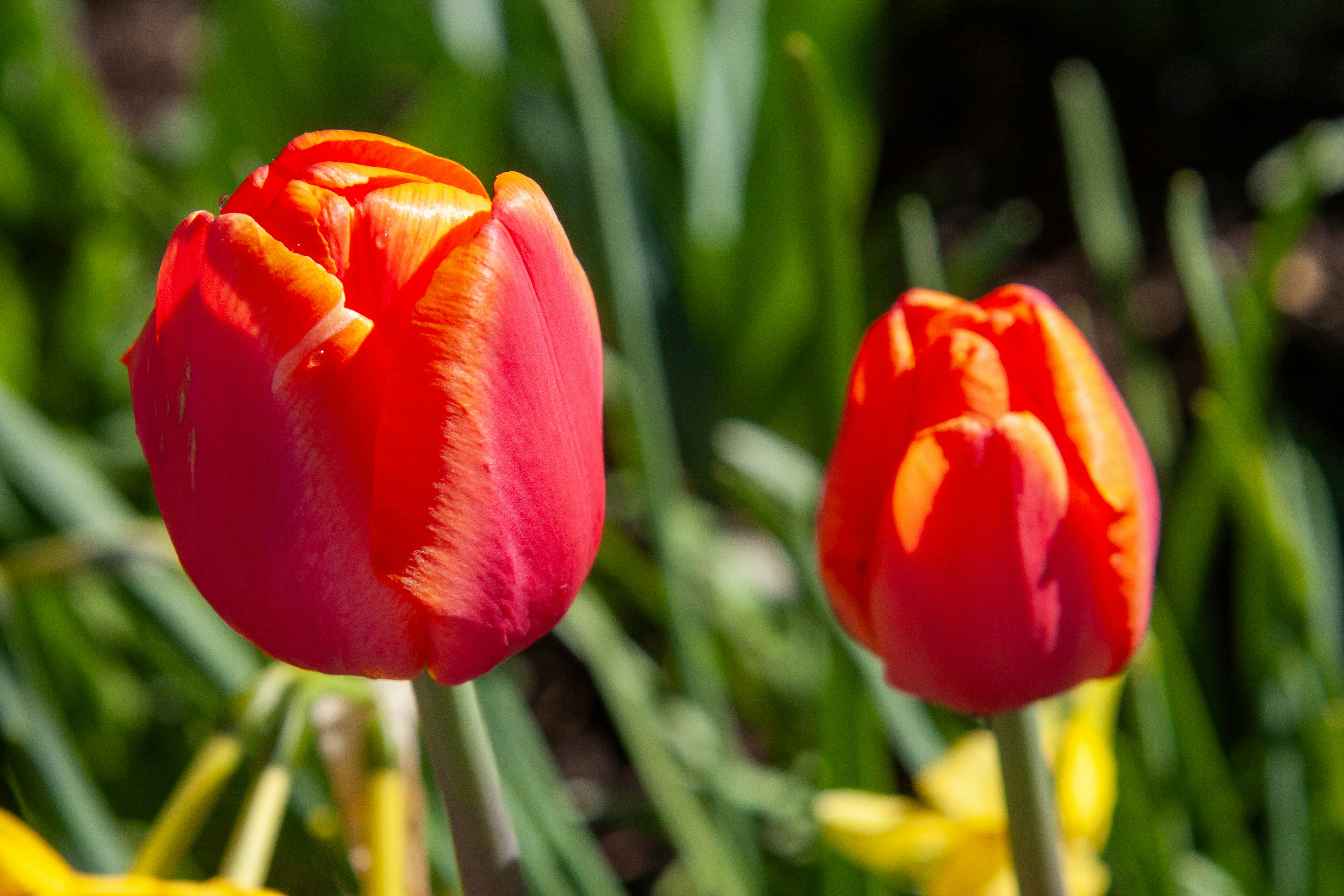 Photo by anthonyaird
