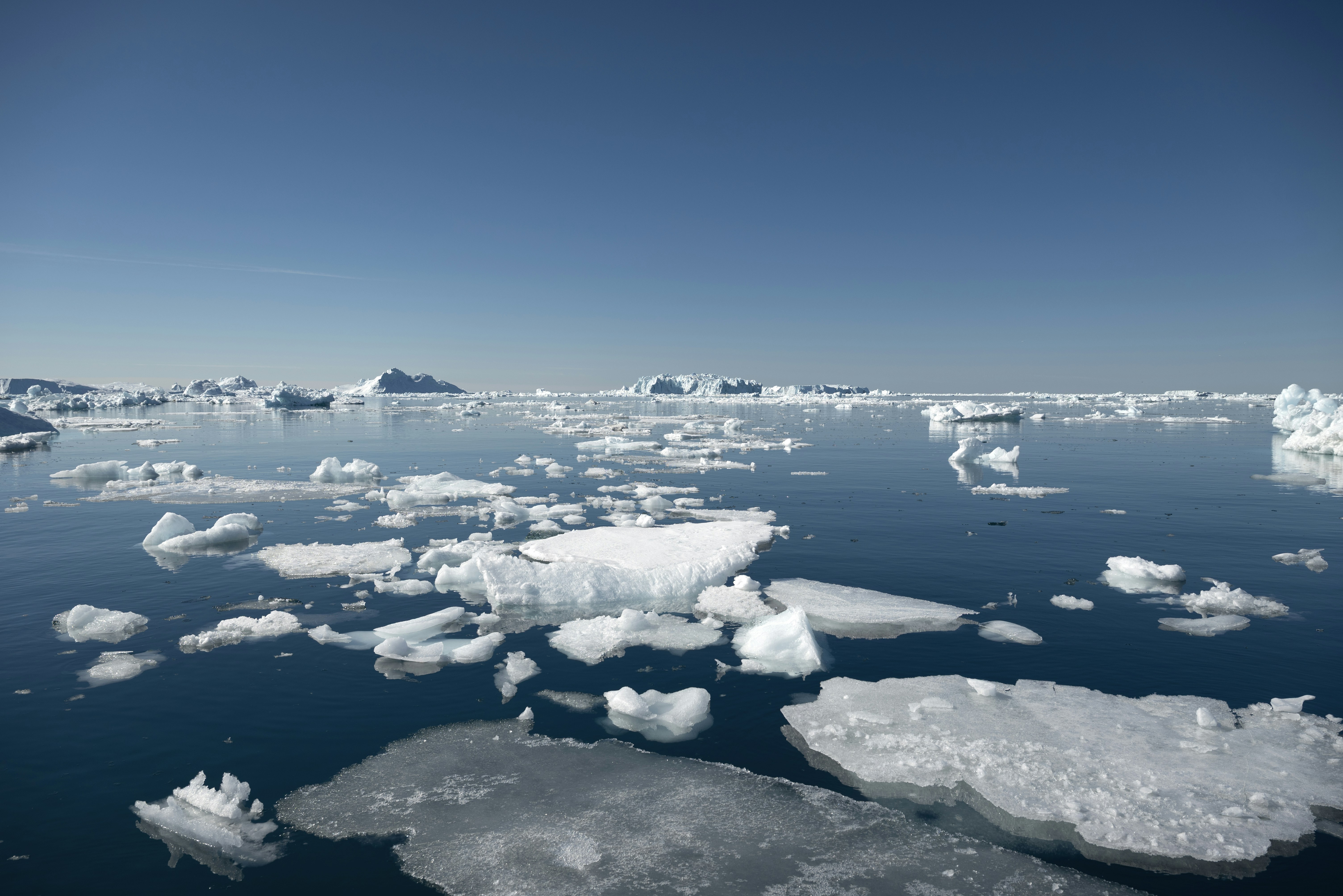 Icebergs floating in a calm blue ocean under clear sky