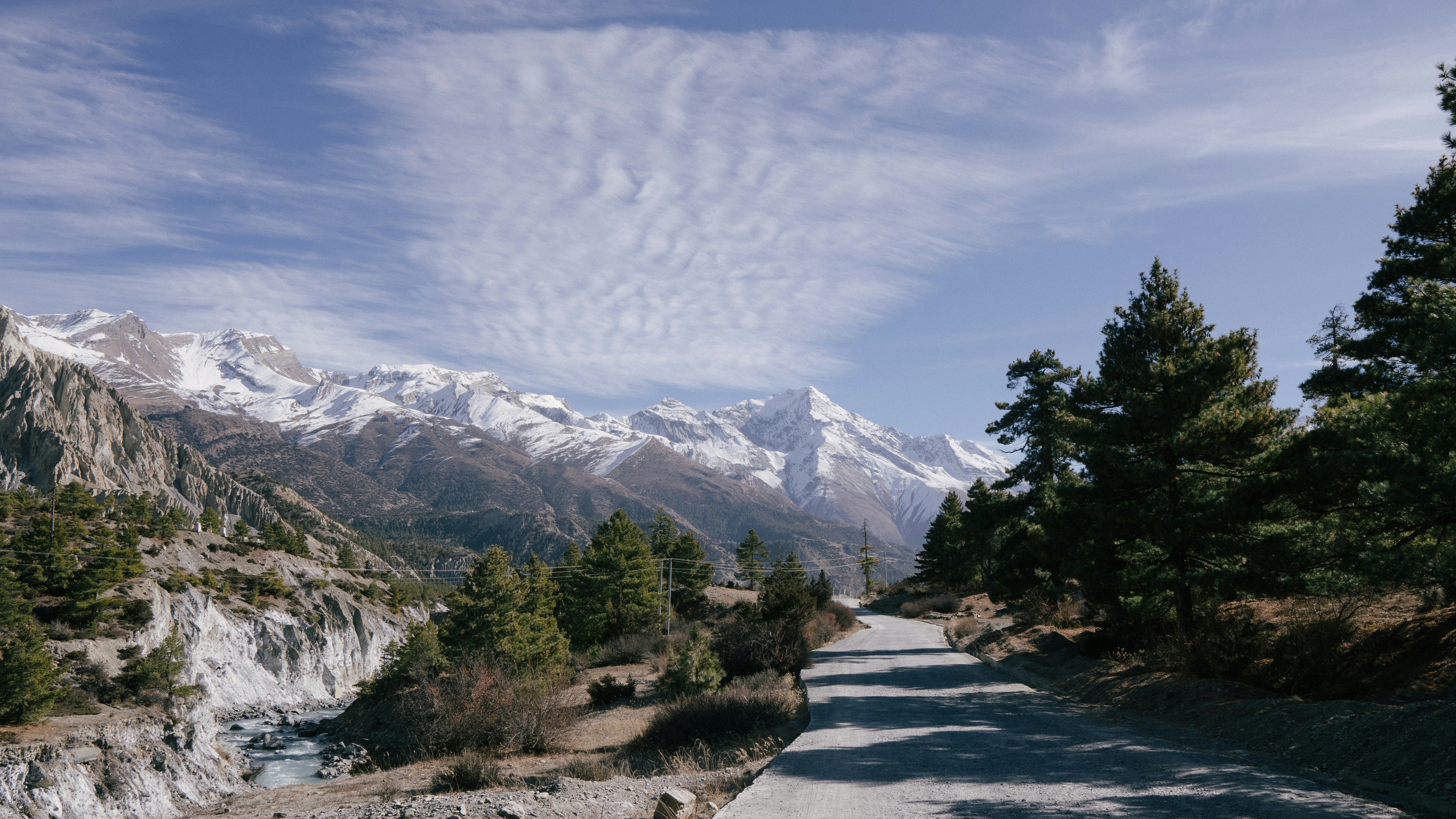 Una strada tortuosa conduce a montagne innevate e pini.
