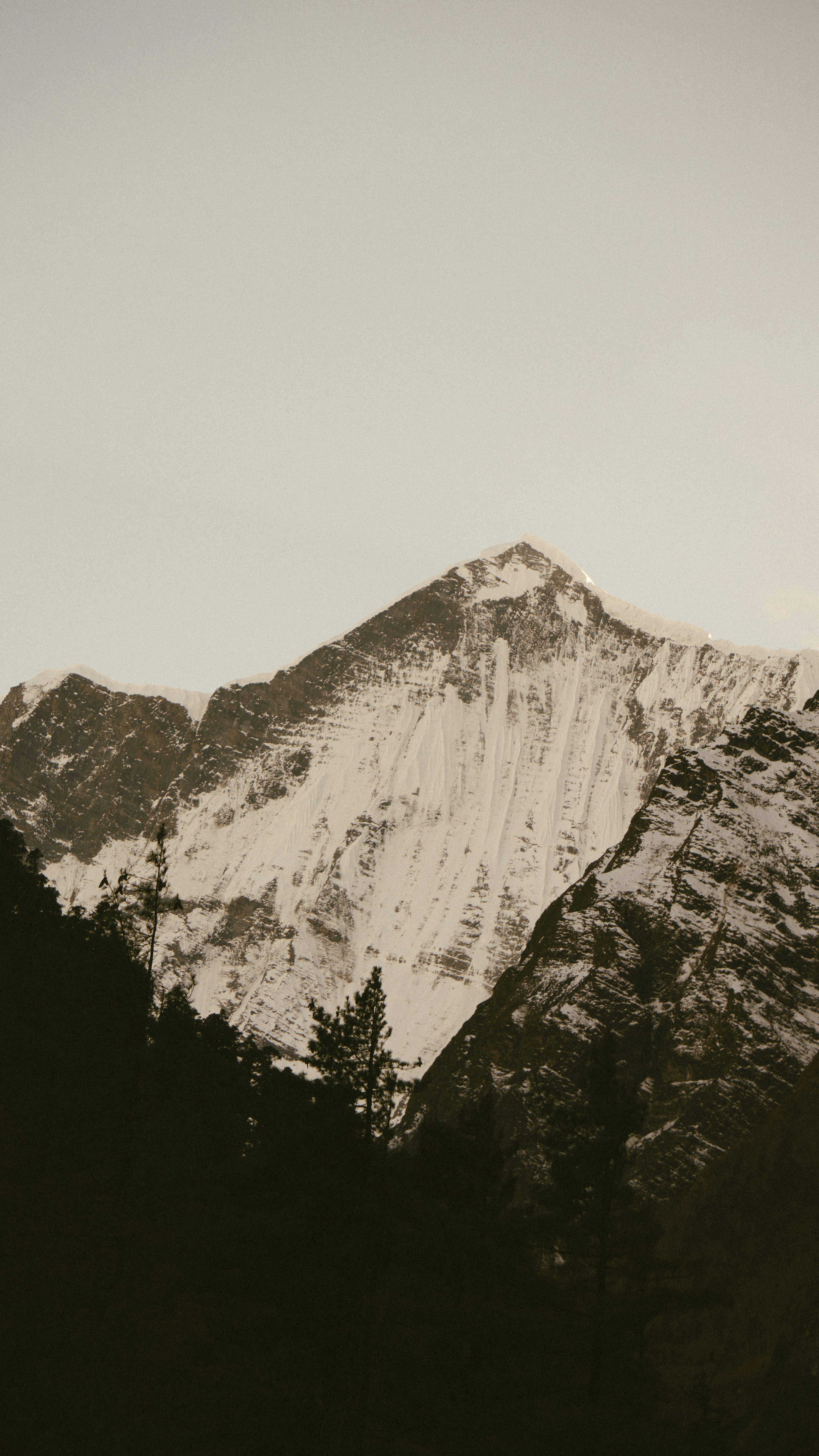 Maestose montagne coperte di neve si innalzano sopra alberi sempreverdi scuri.