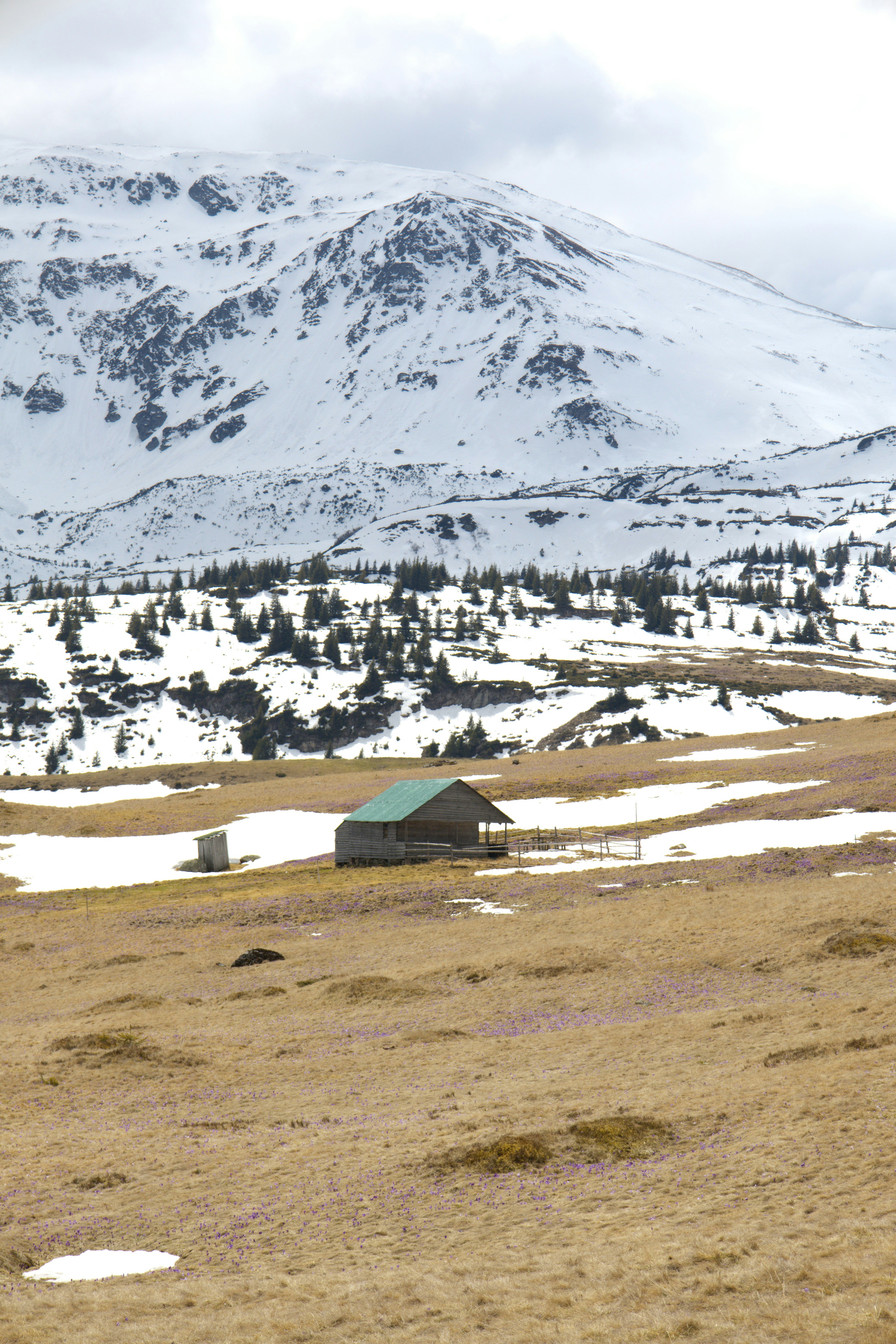 Cabana em um vasto campo sob uma montanha coberta de neve.