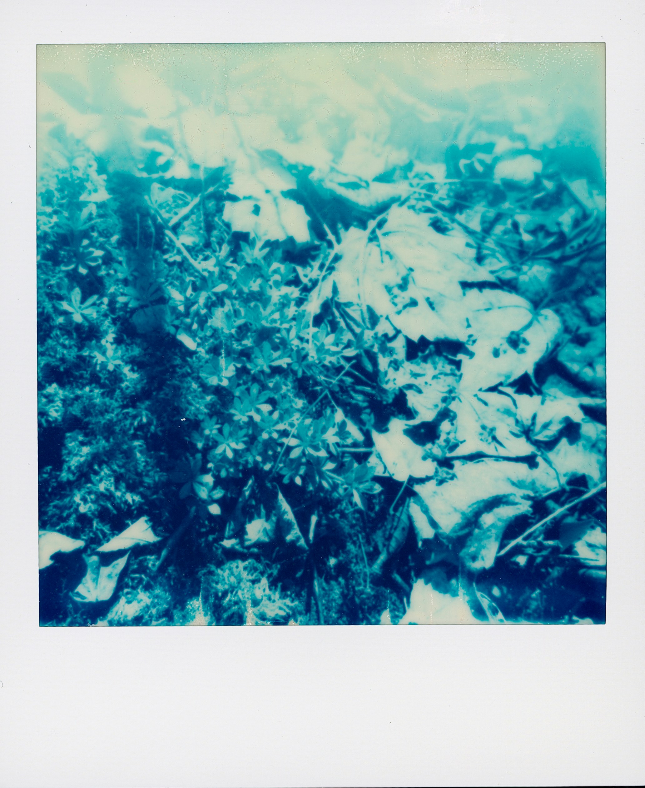 Photo by cocccul