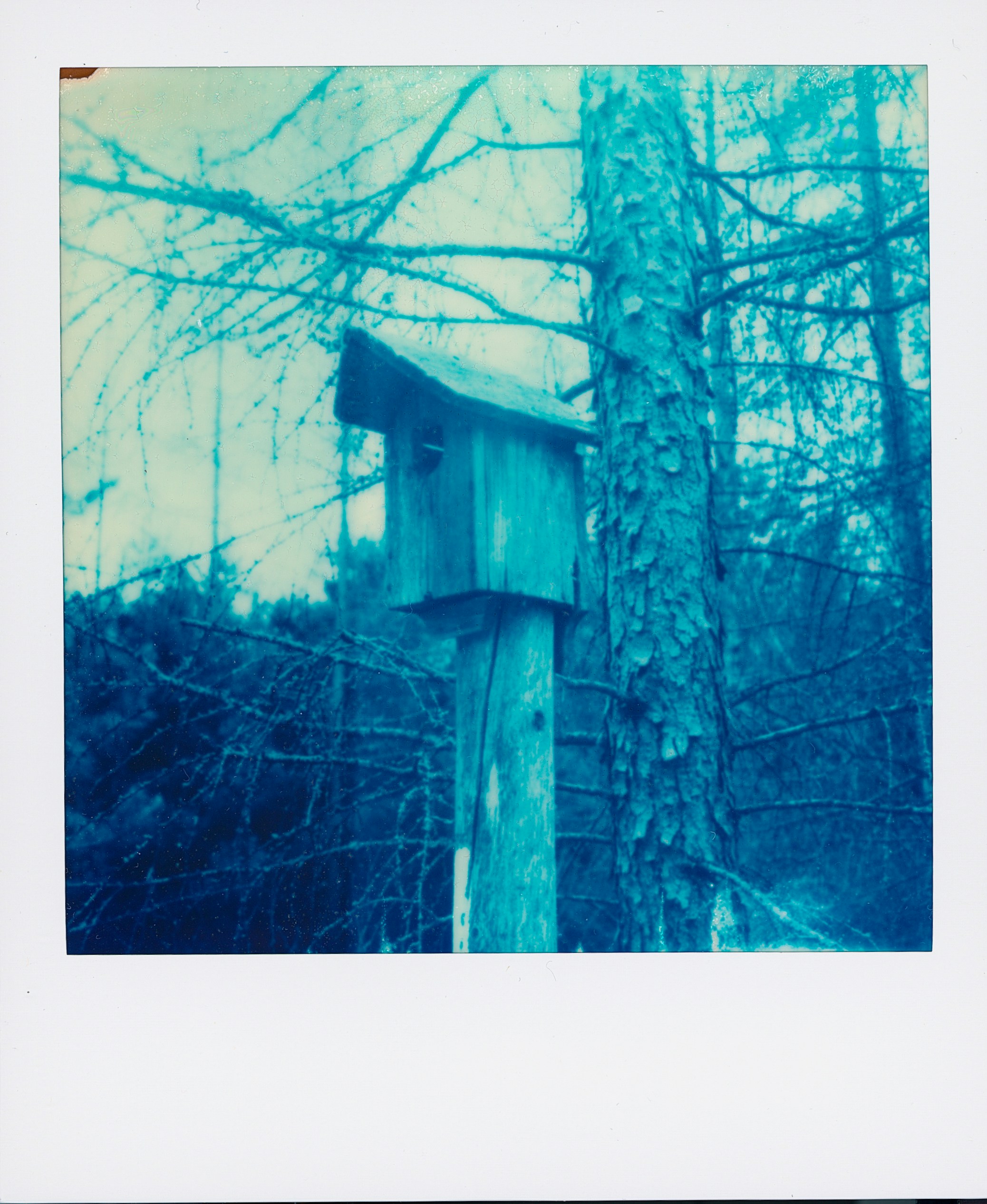 Photo by cocccul