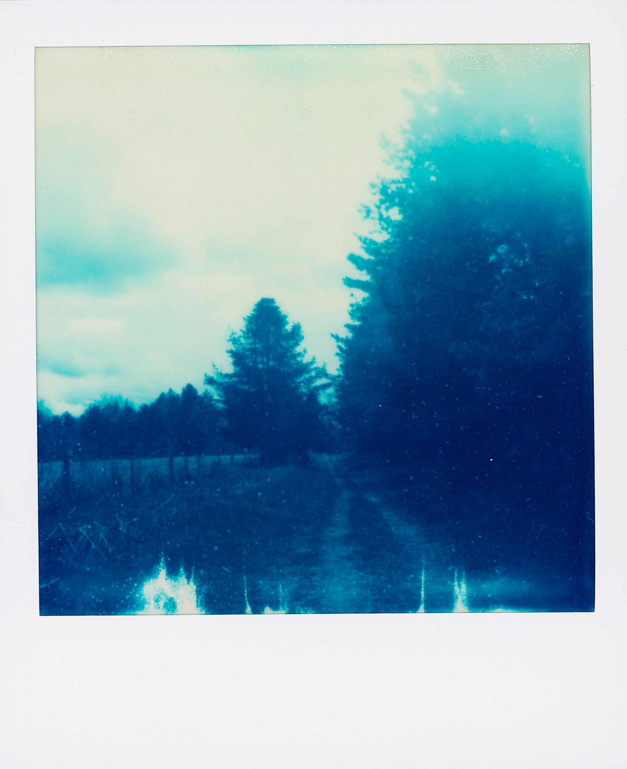 Photo by cocccul