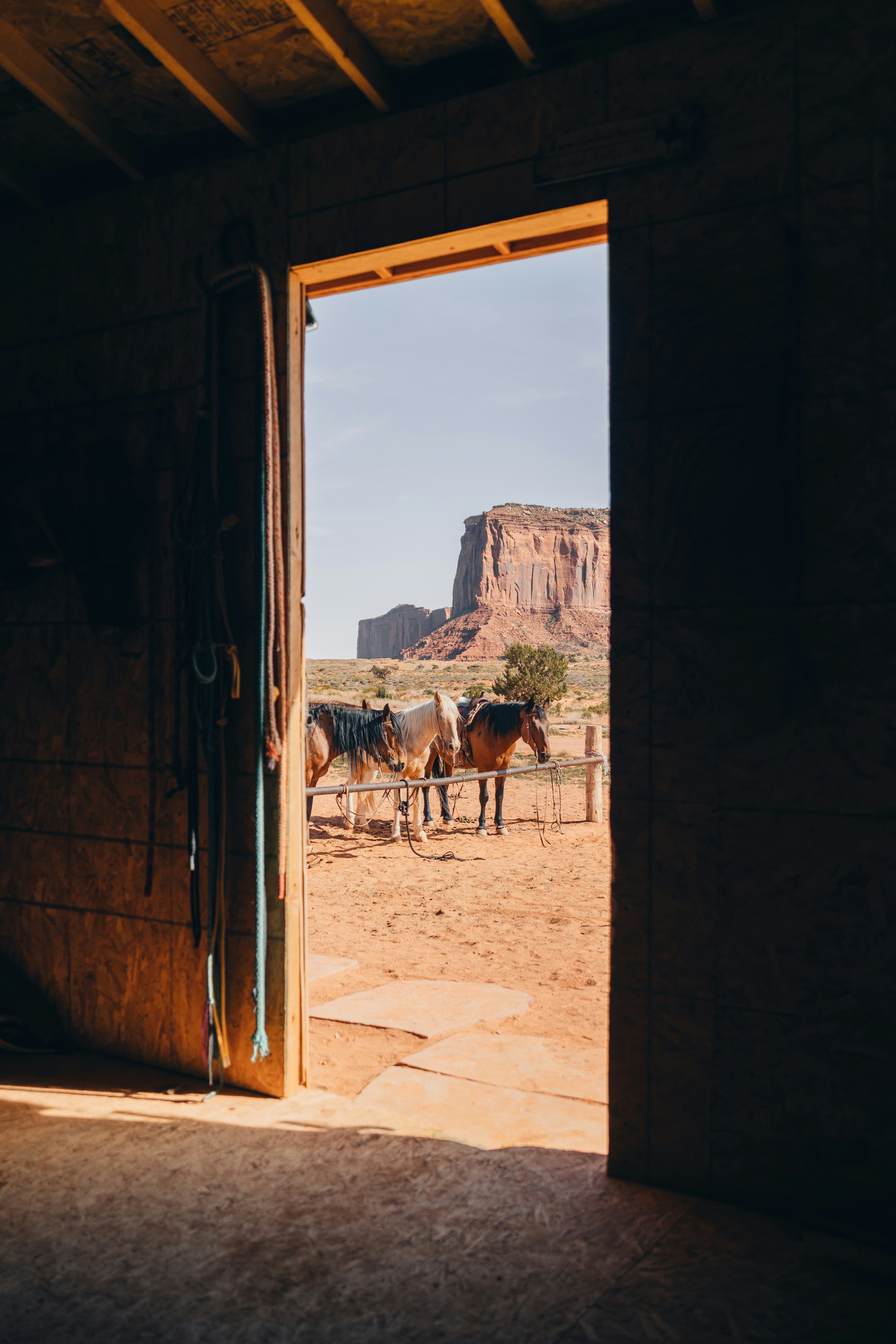 Horses in a corral with monument valley in background