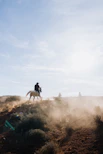 Cowboy riding a horse through dusty desert landscape.