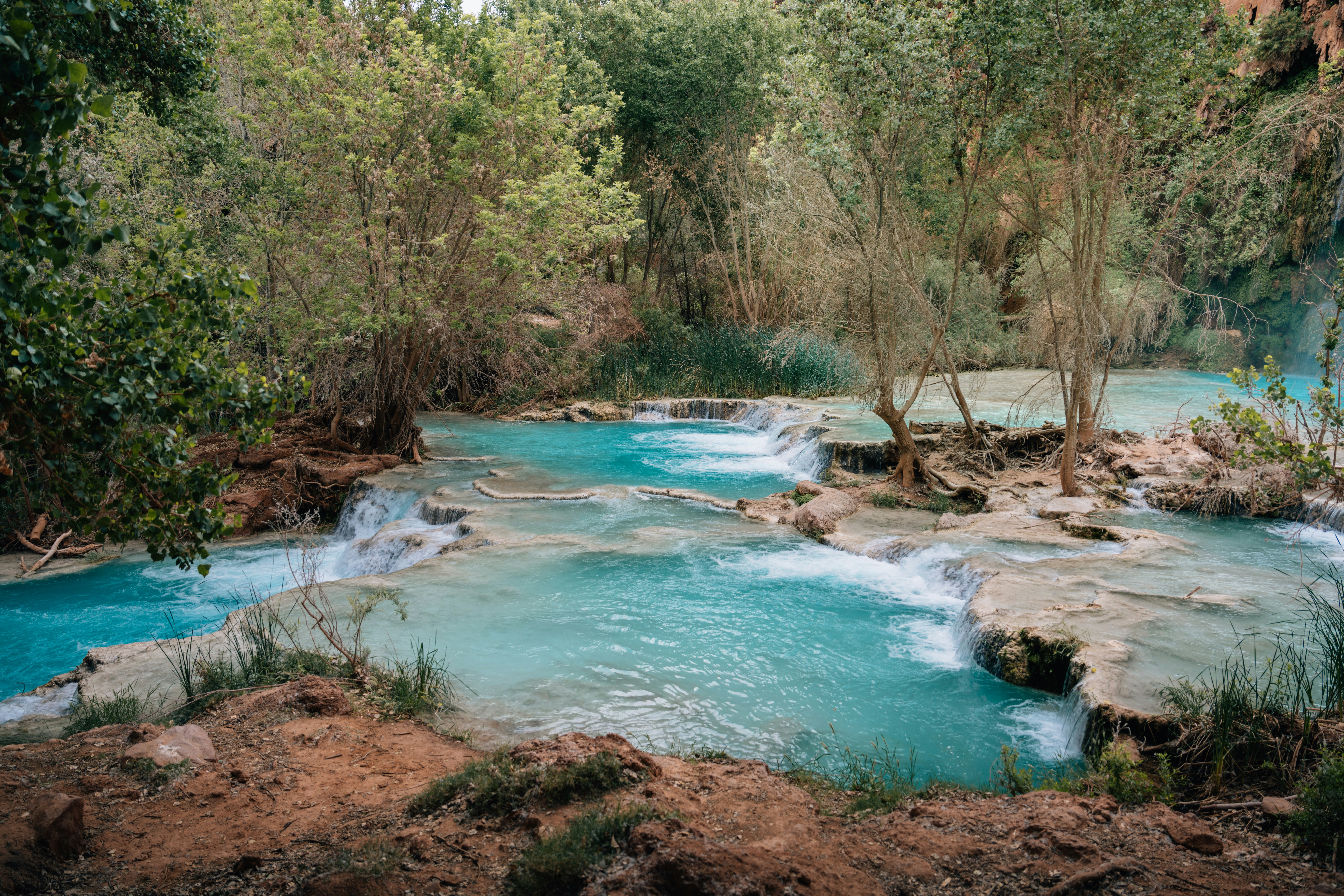 Cascate turchesi attraversano un rigoglioso incrocio forestale.