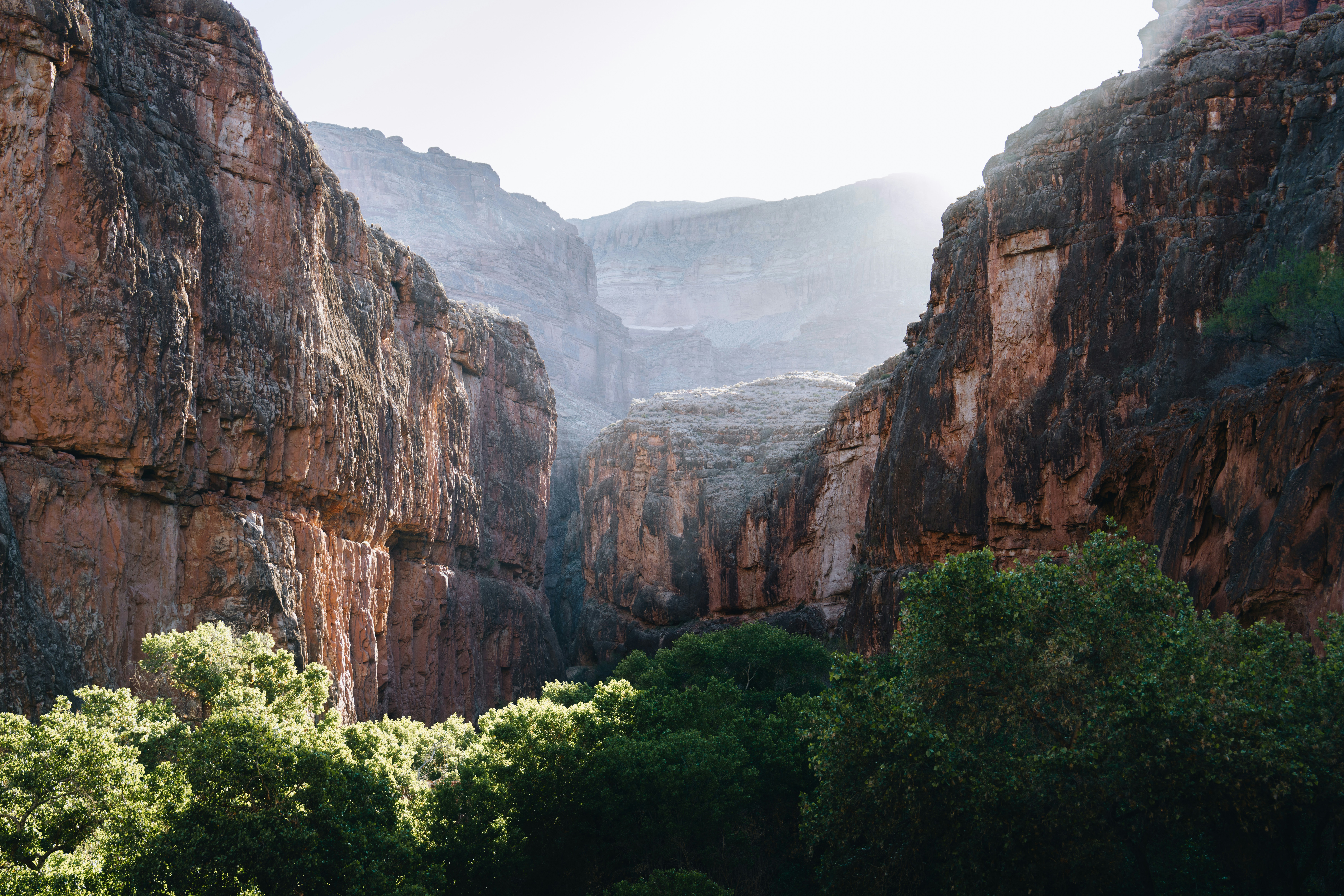 La luce del sole filtra attraverso un canyon roccioso con alberi verdi e rigogliosi.