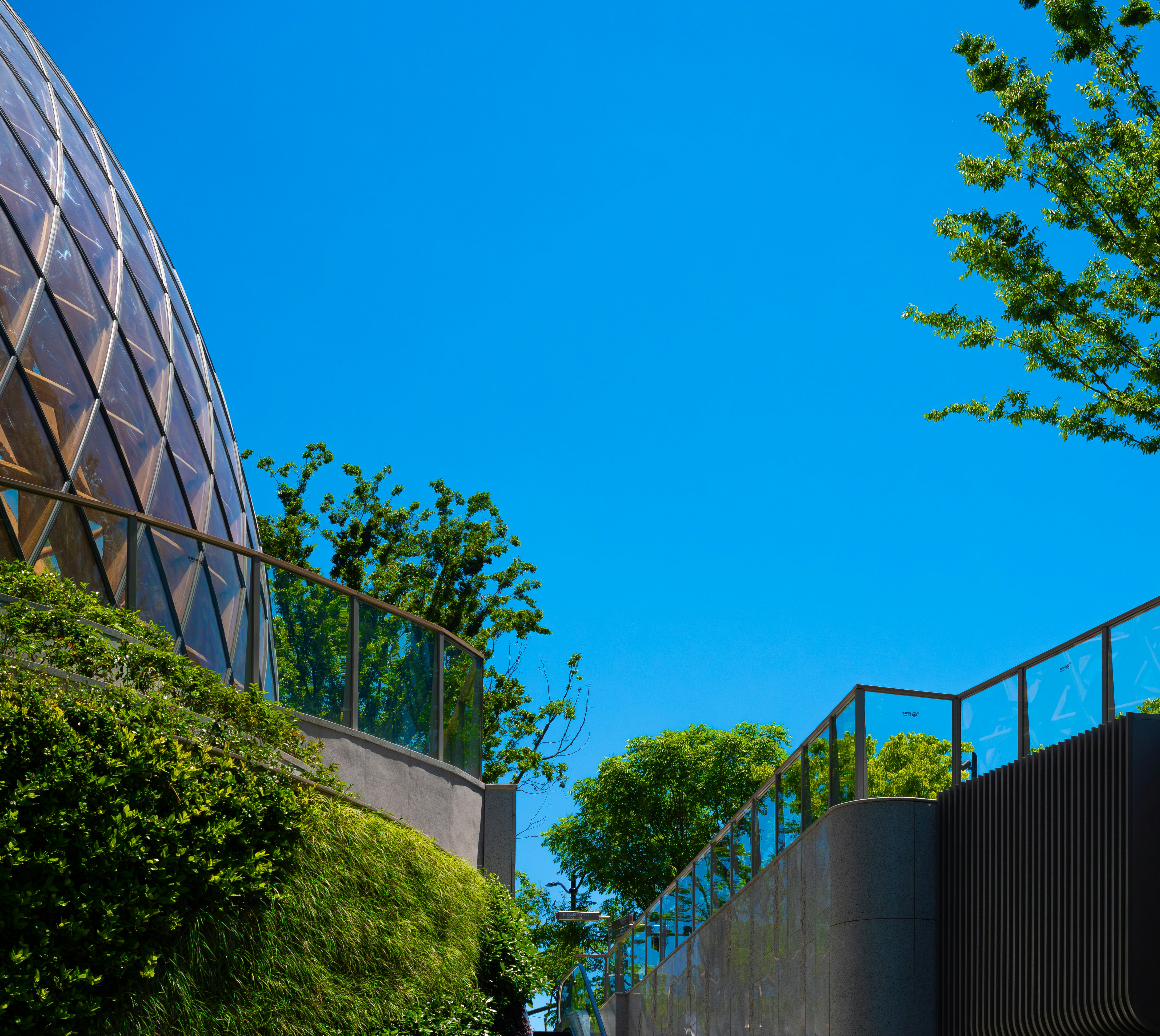 Modern building with glass panels and lush greenery