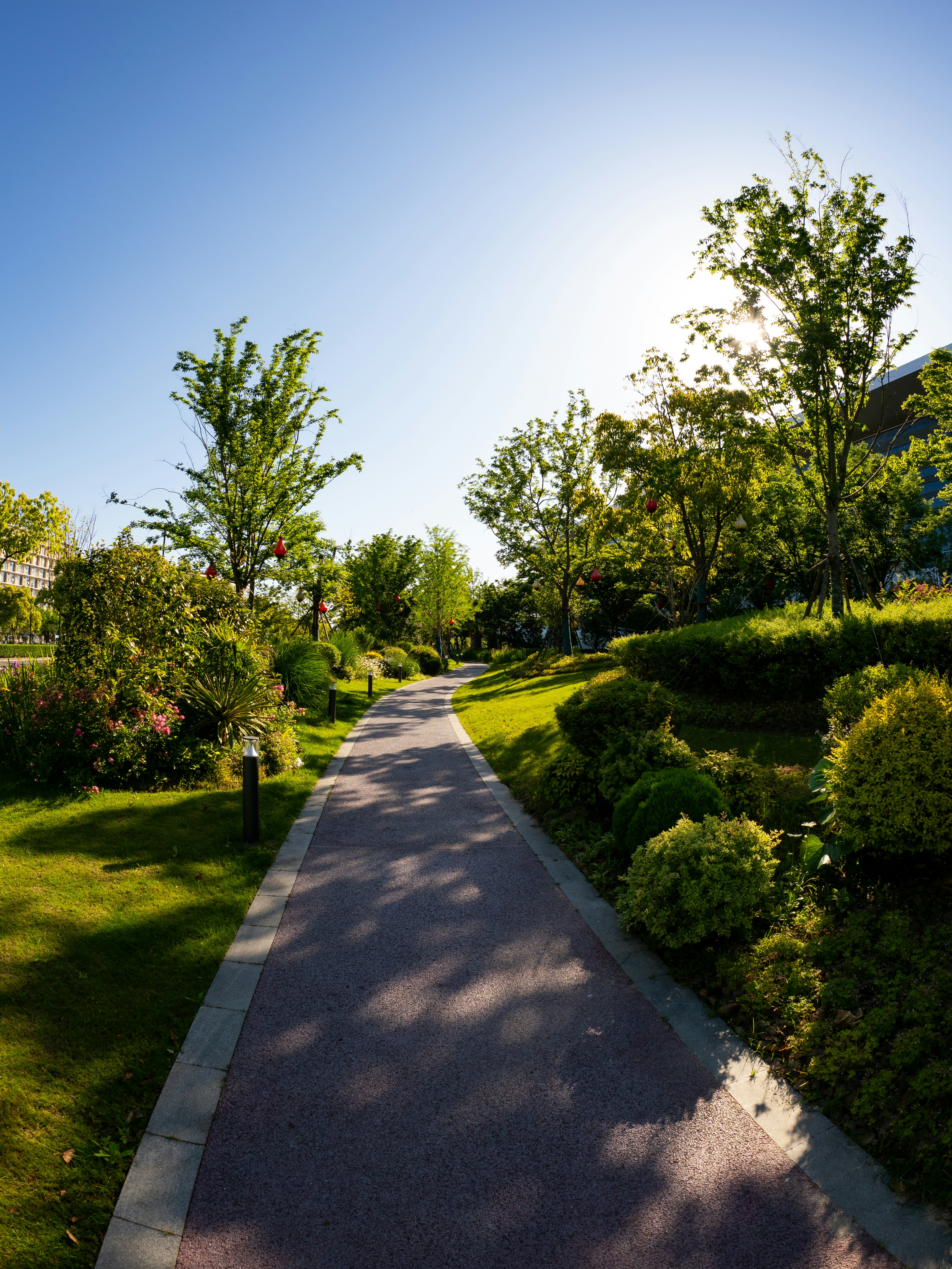 A paved pathway through a sunny, green park.