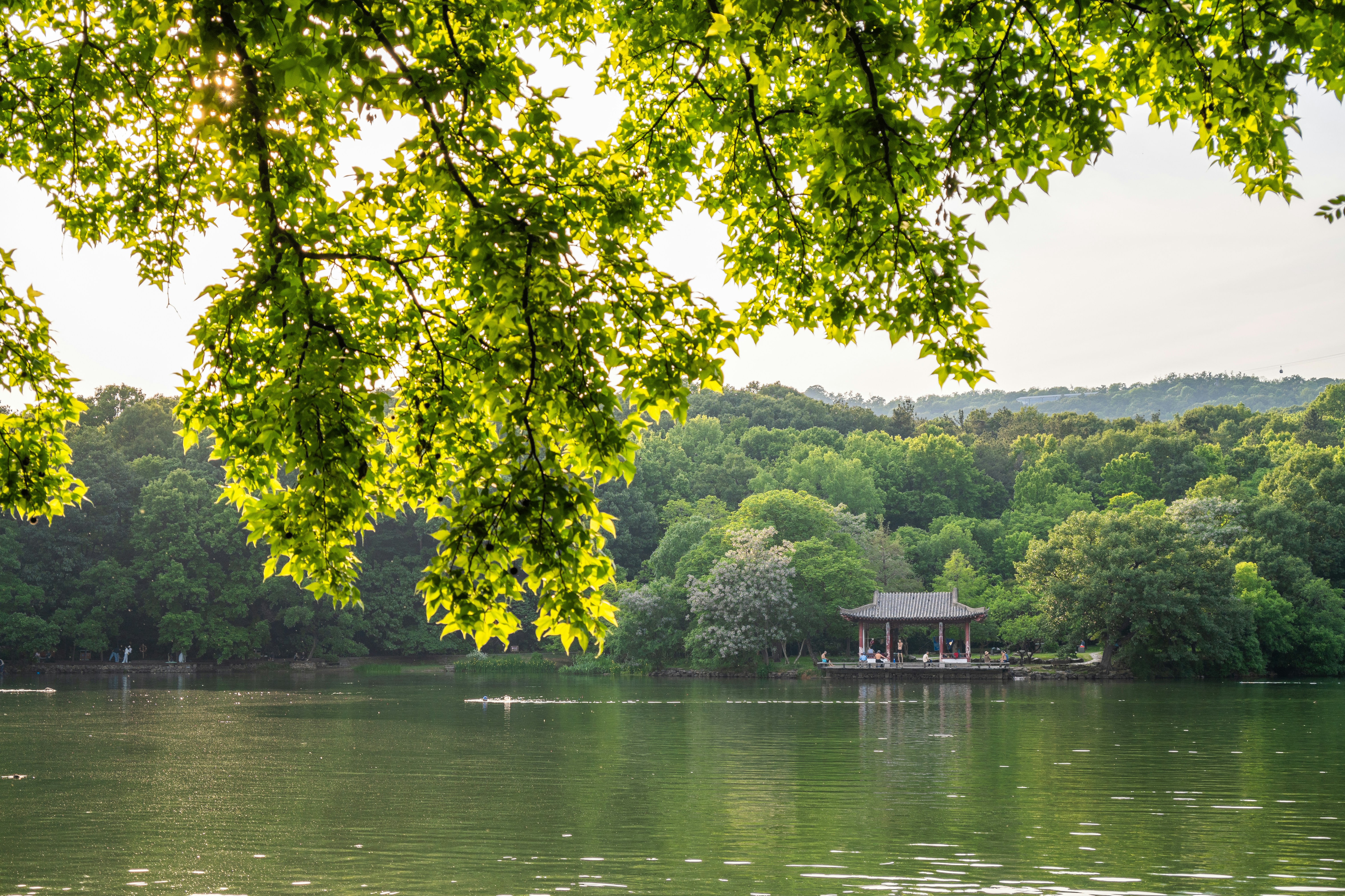 Photo by shisong