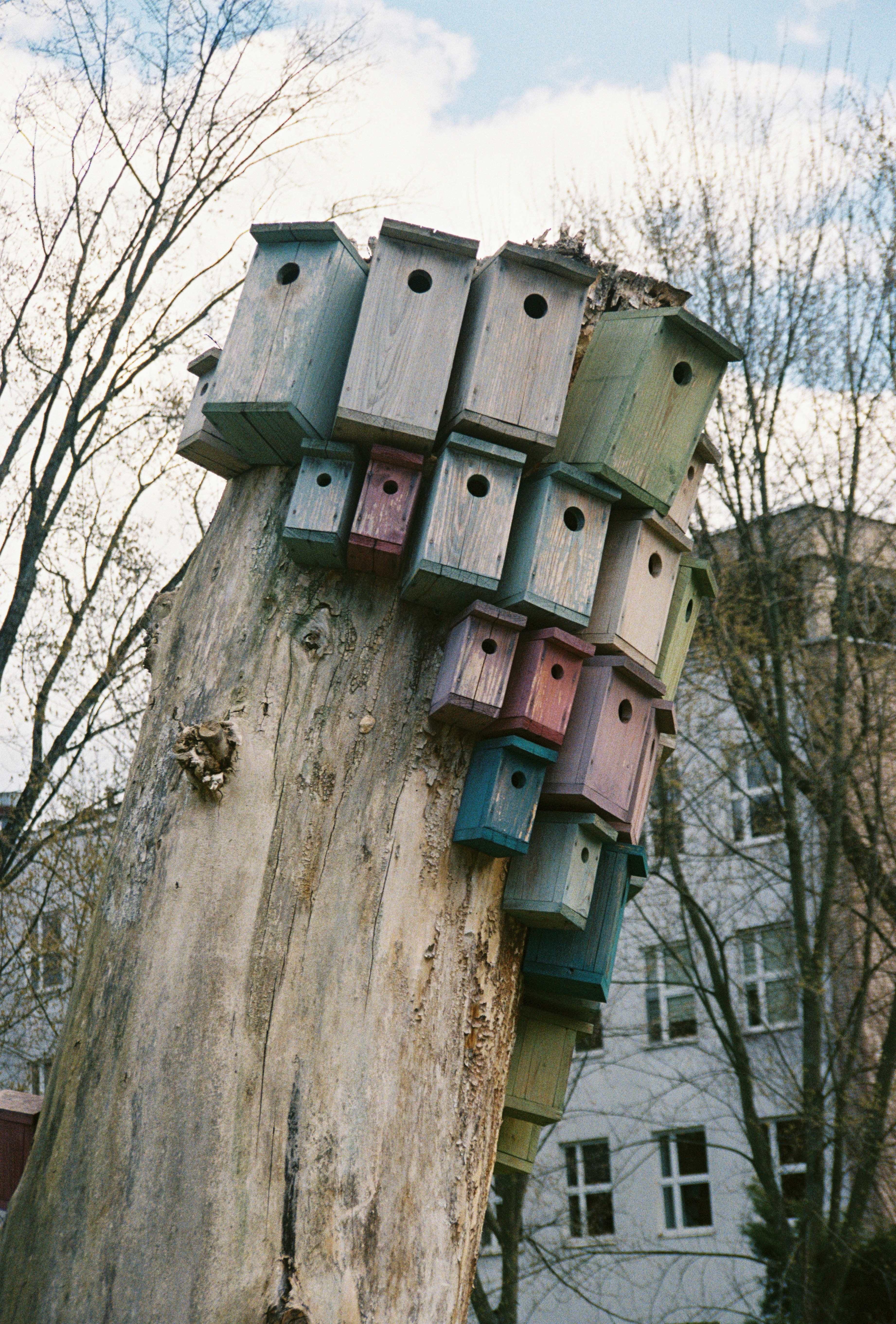 De nombreuses nichoirs colorés ornent un tronc d’arbre haut et nu.