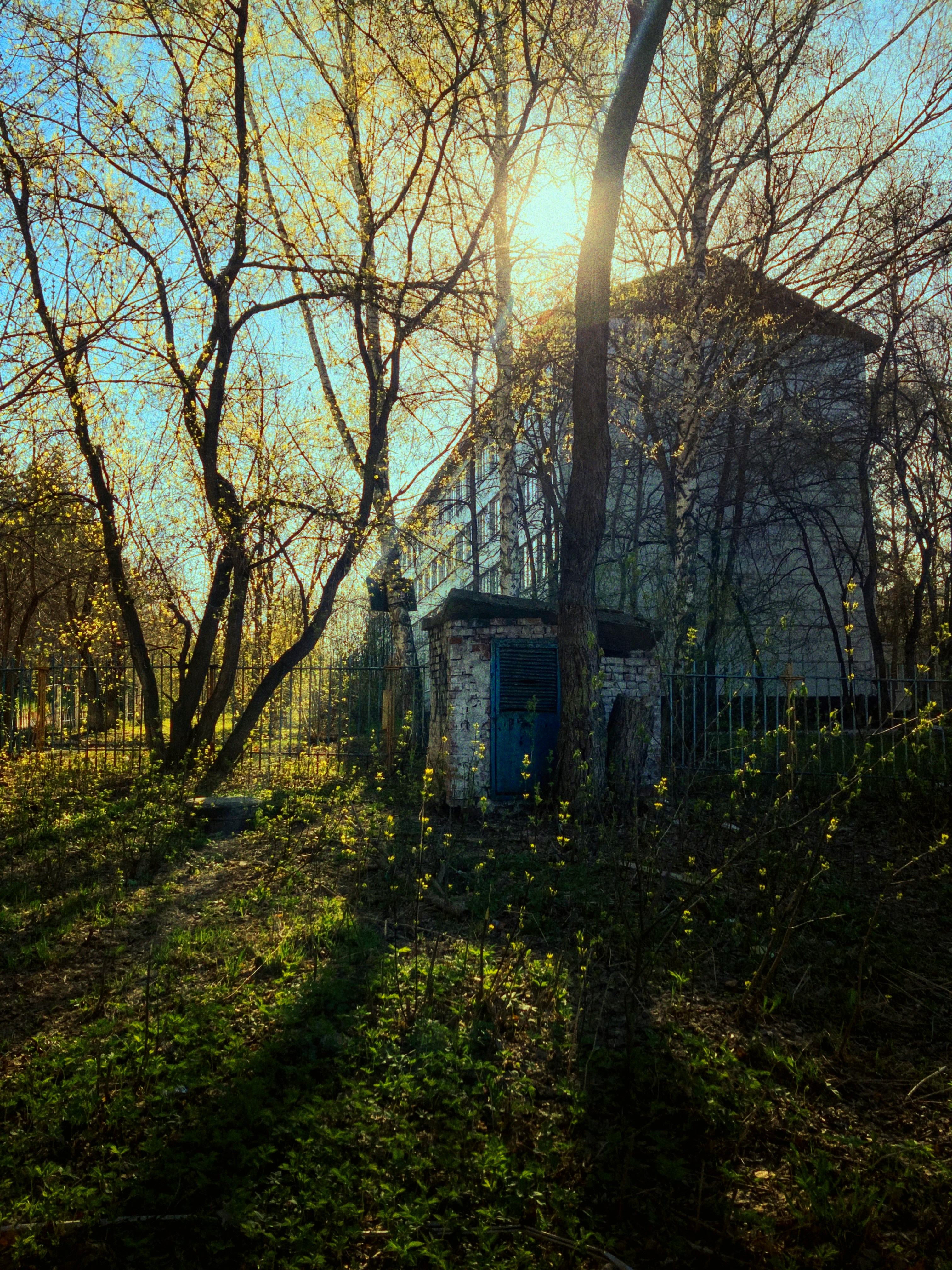 nature home