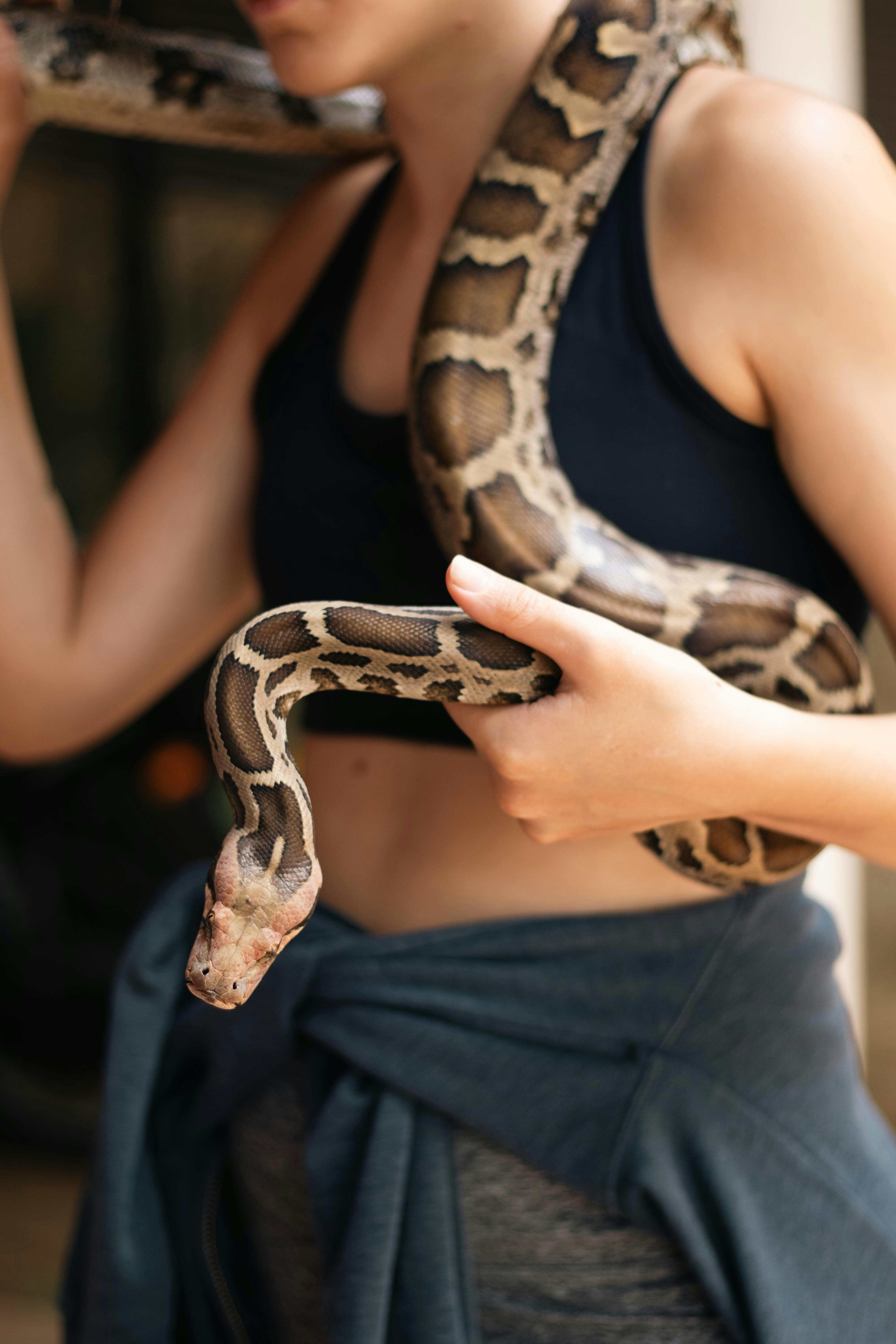 A person holds a large python around their neck.