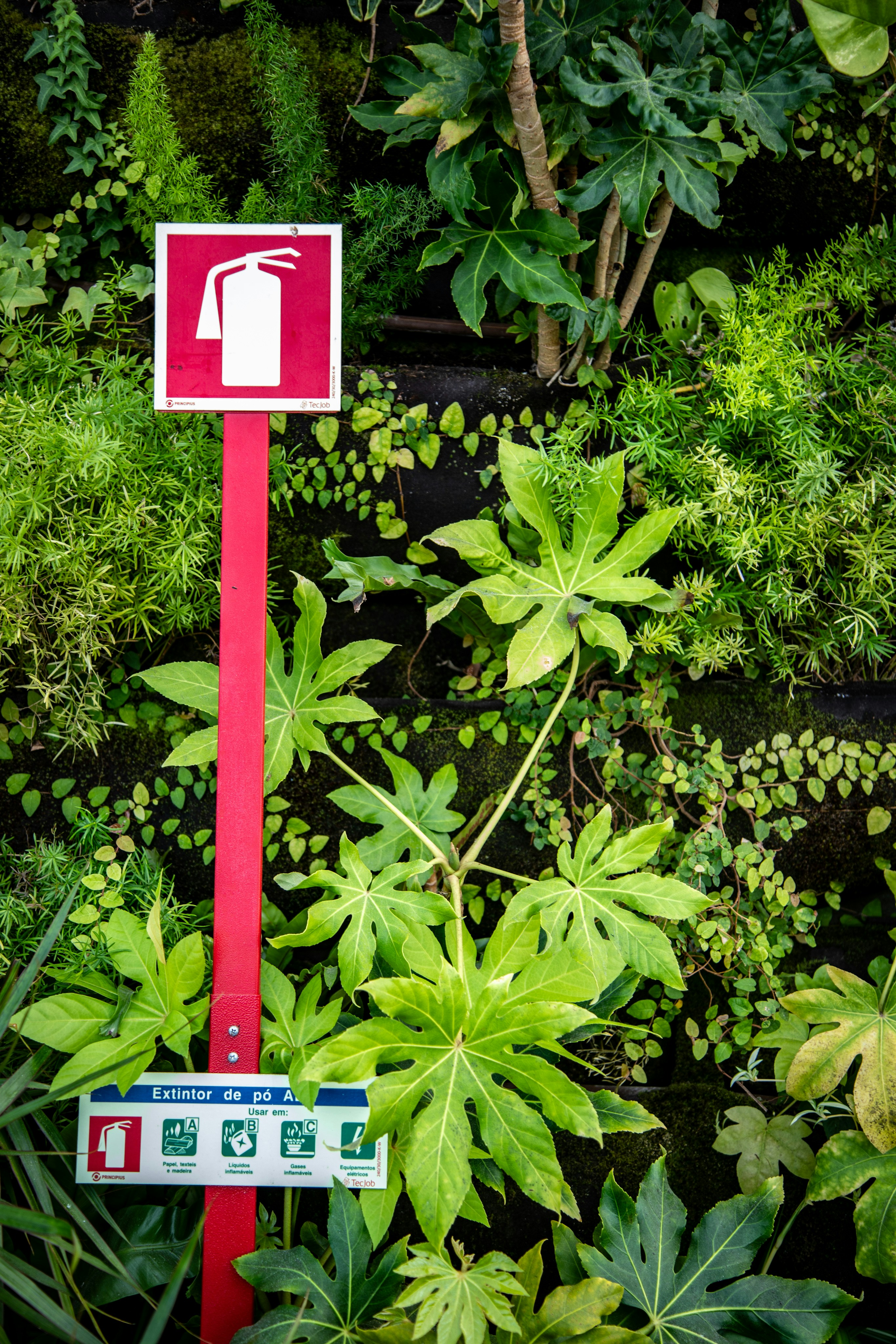 fire safety regulations
