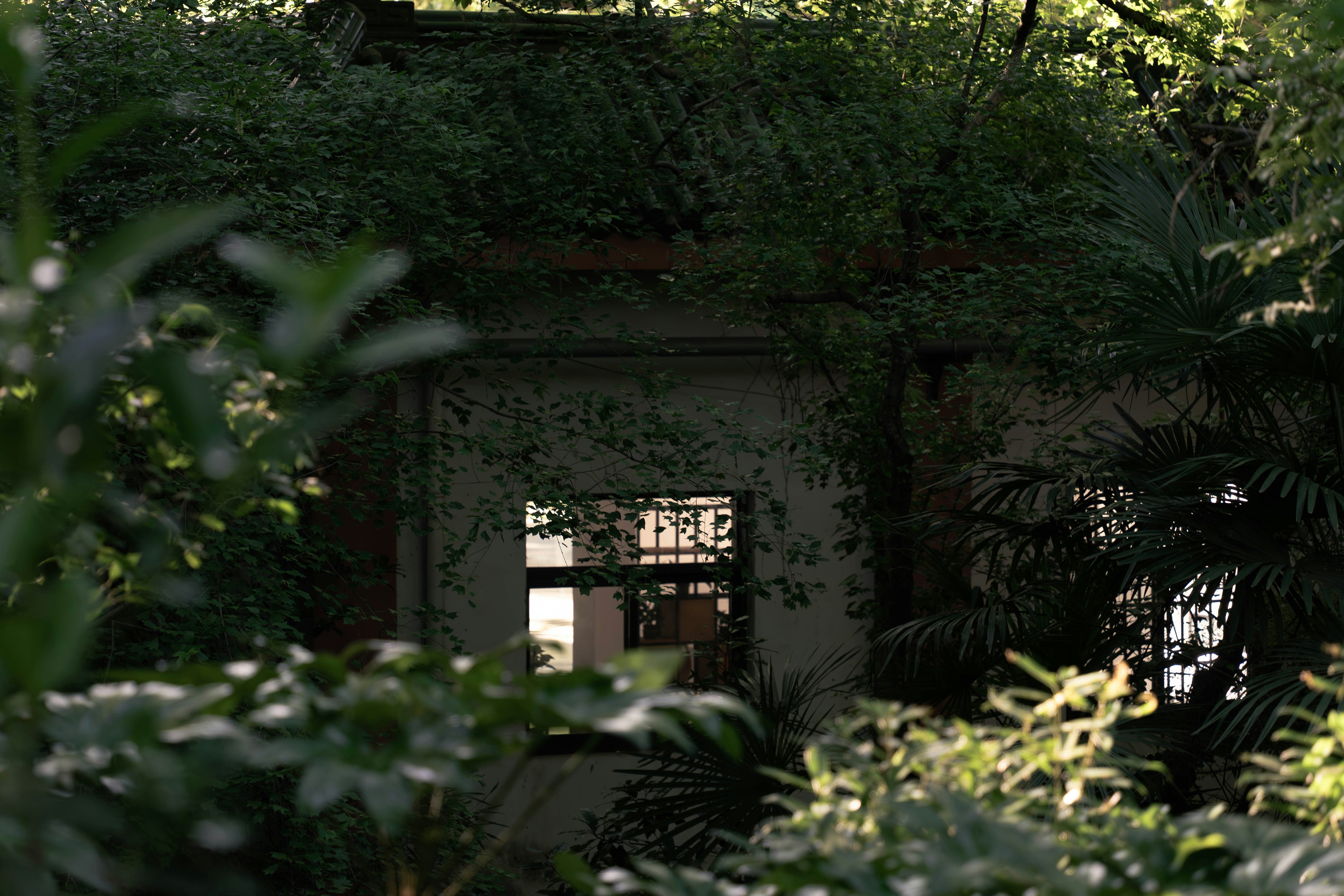 Photo by 123duo3
