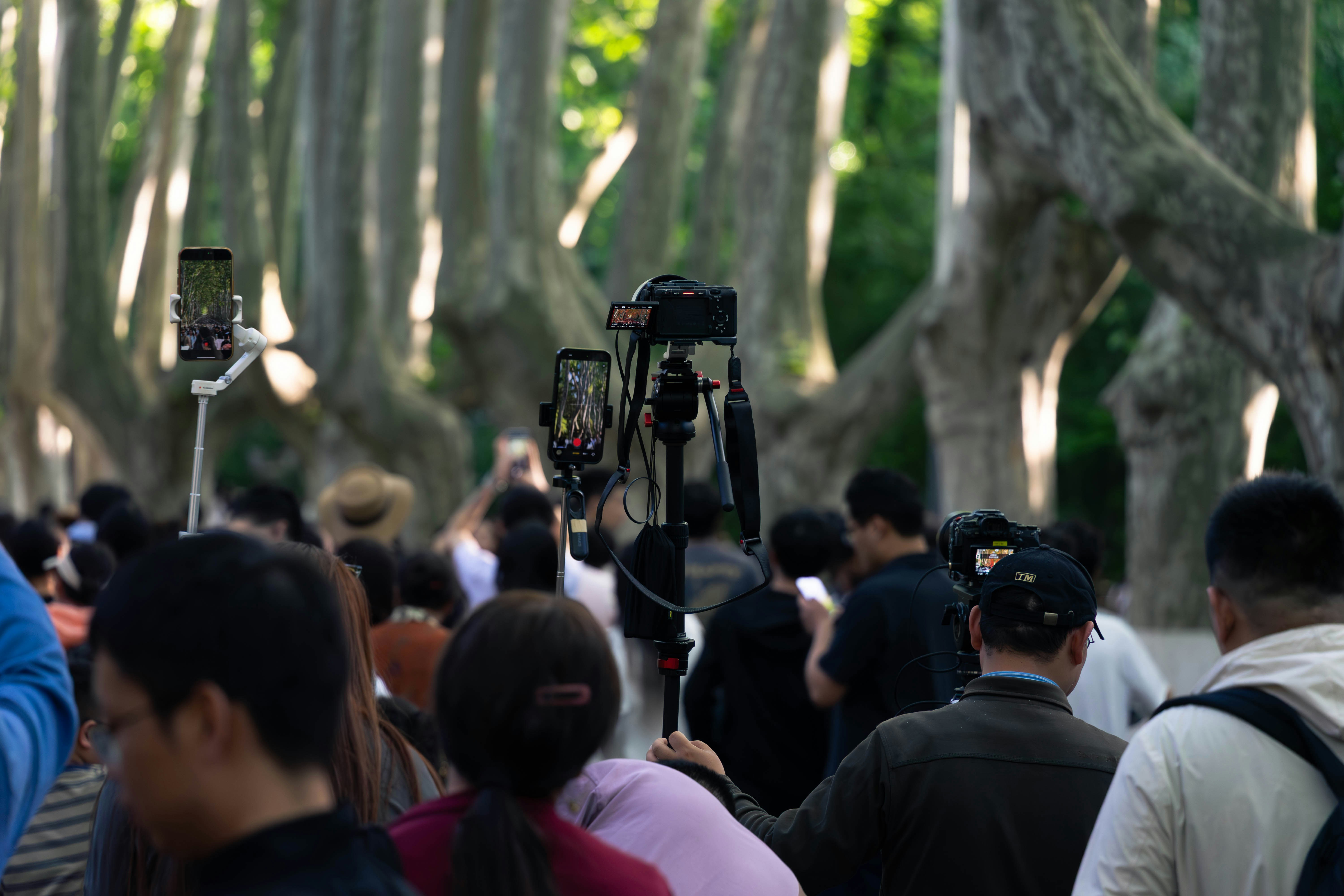 People filming with phones on selfie sticks among trees