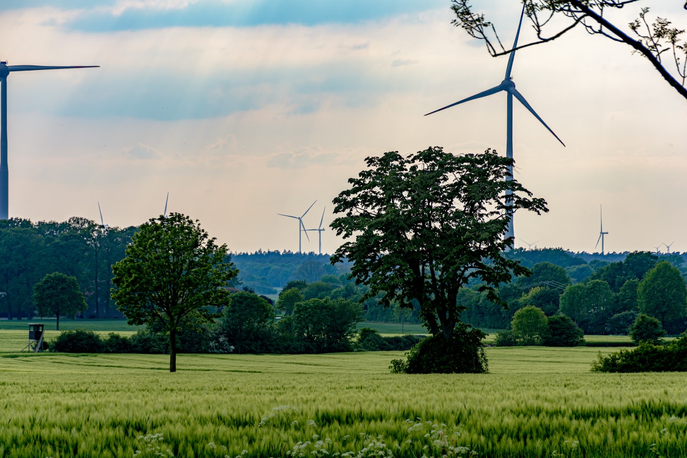 Windräder in einer grünen Landschaft
