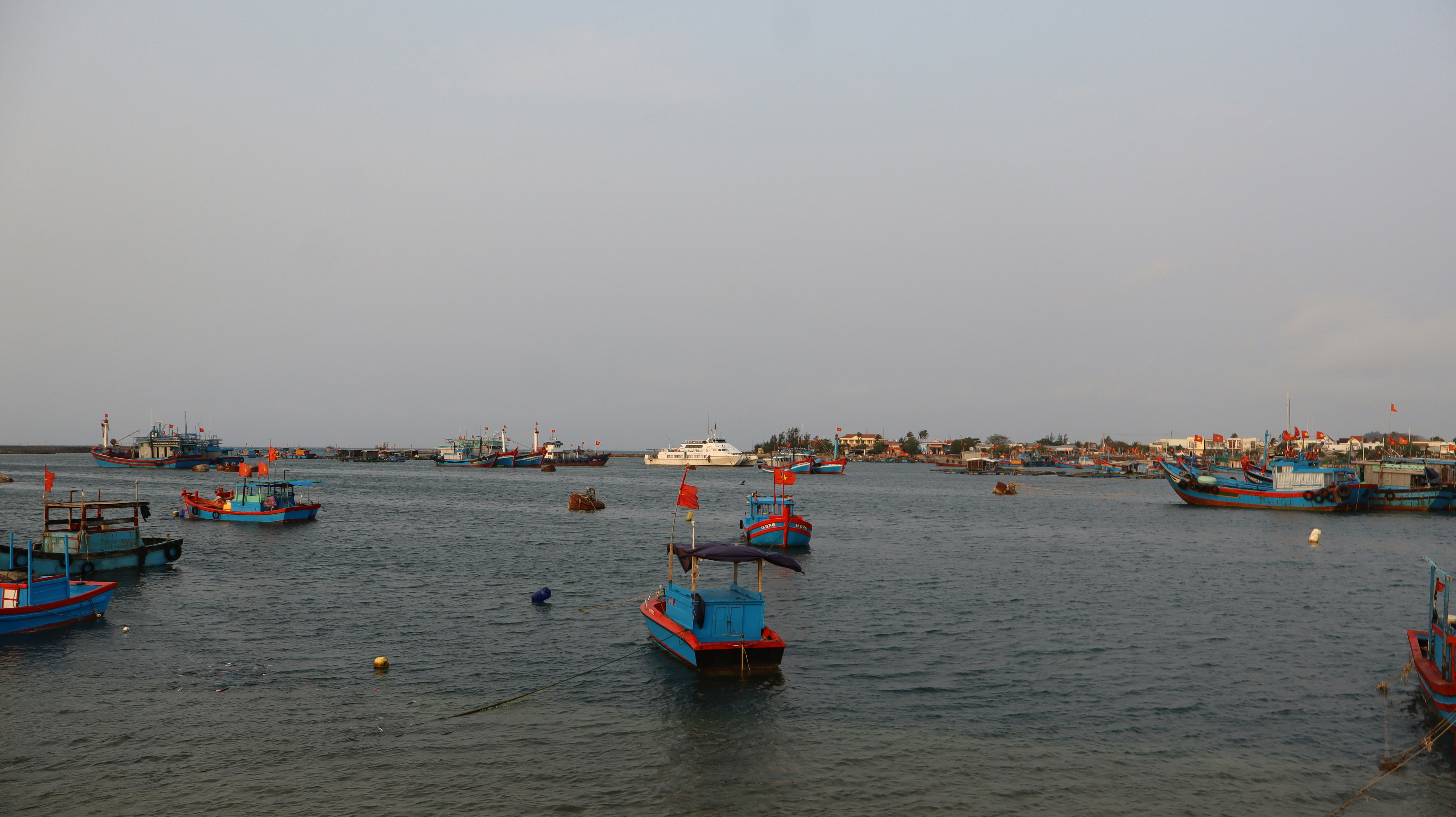 Fishing boats docked in a harbor with buildings in background
