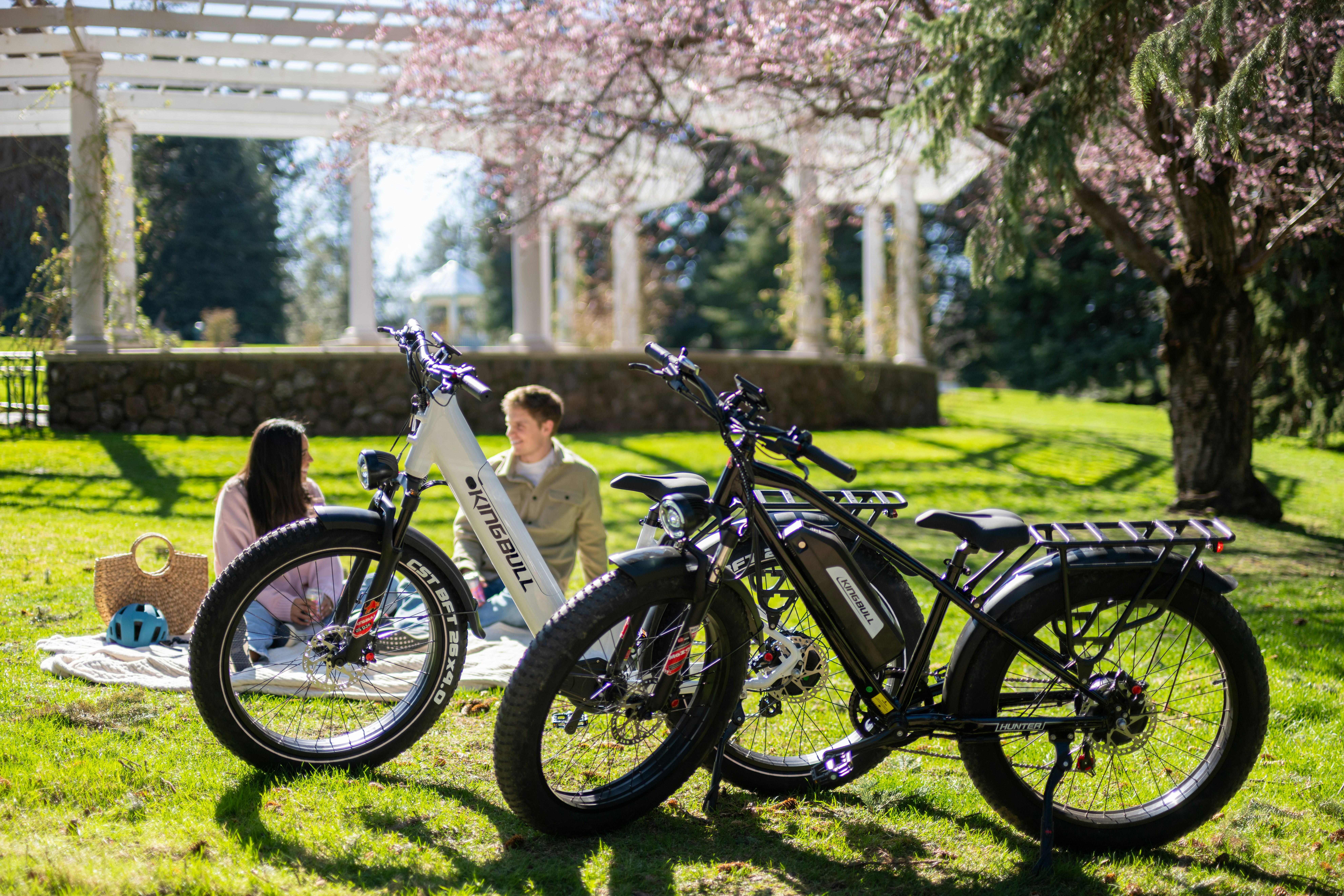 Duas bicicletas elétricas em um dia ensolarado piquenique.