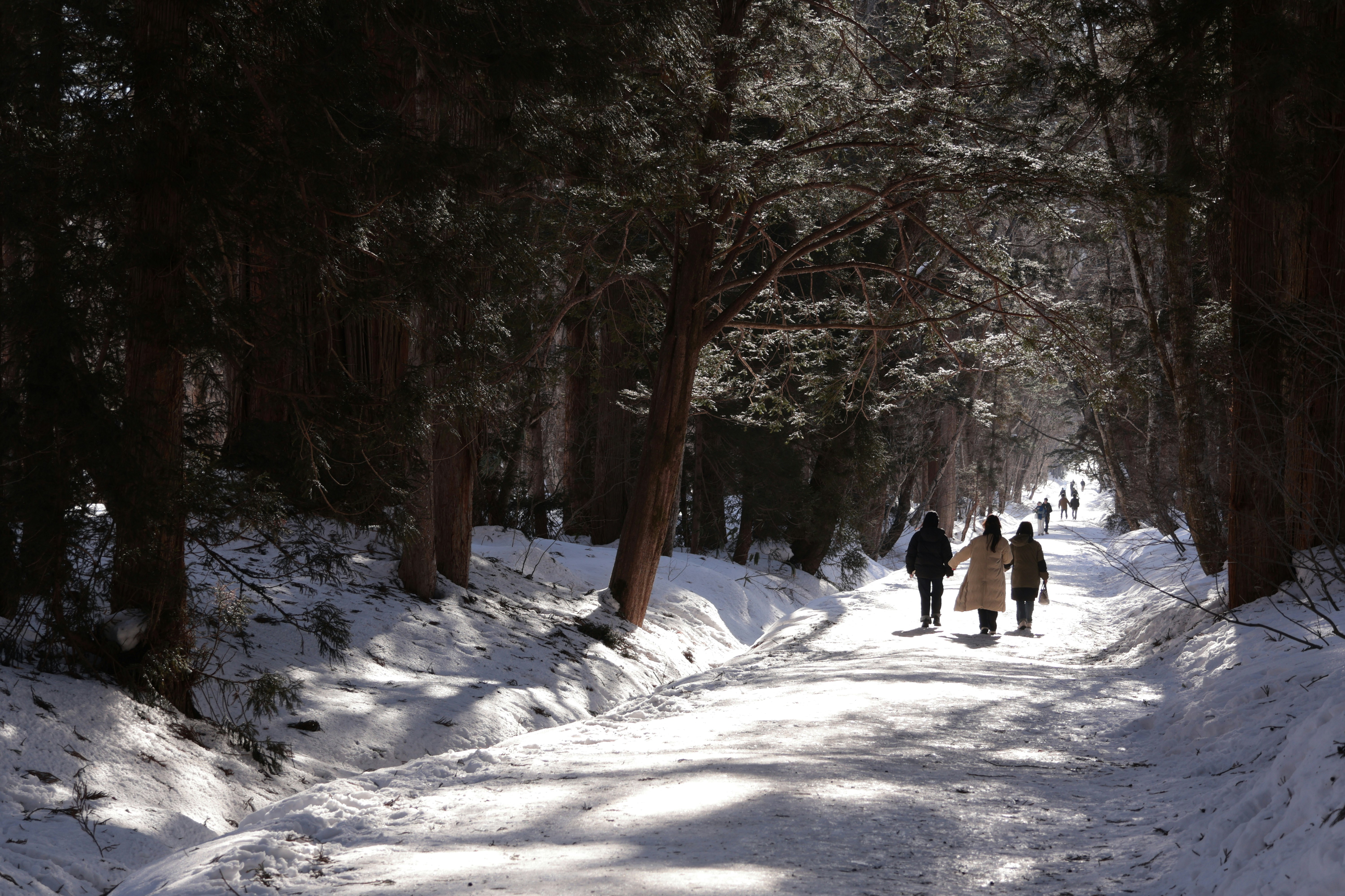 People walking on a snow-covered path through a forest.