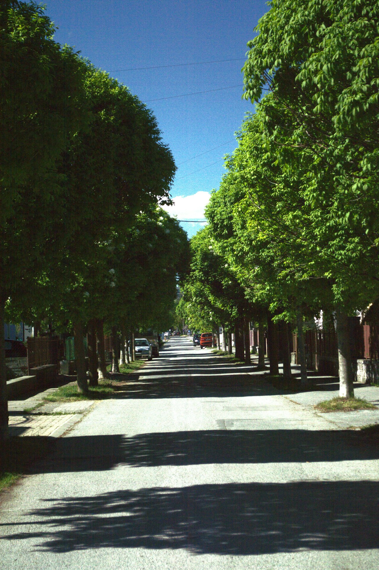 The Groves