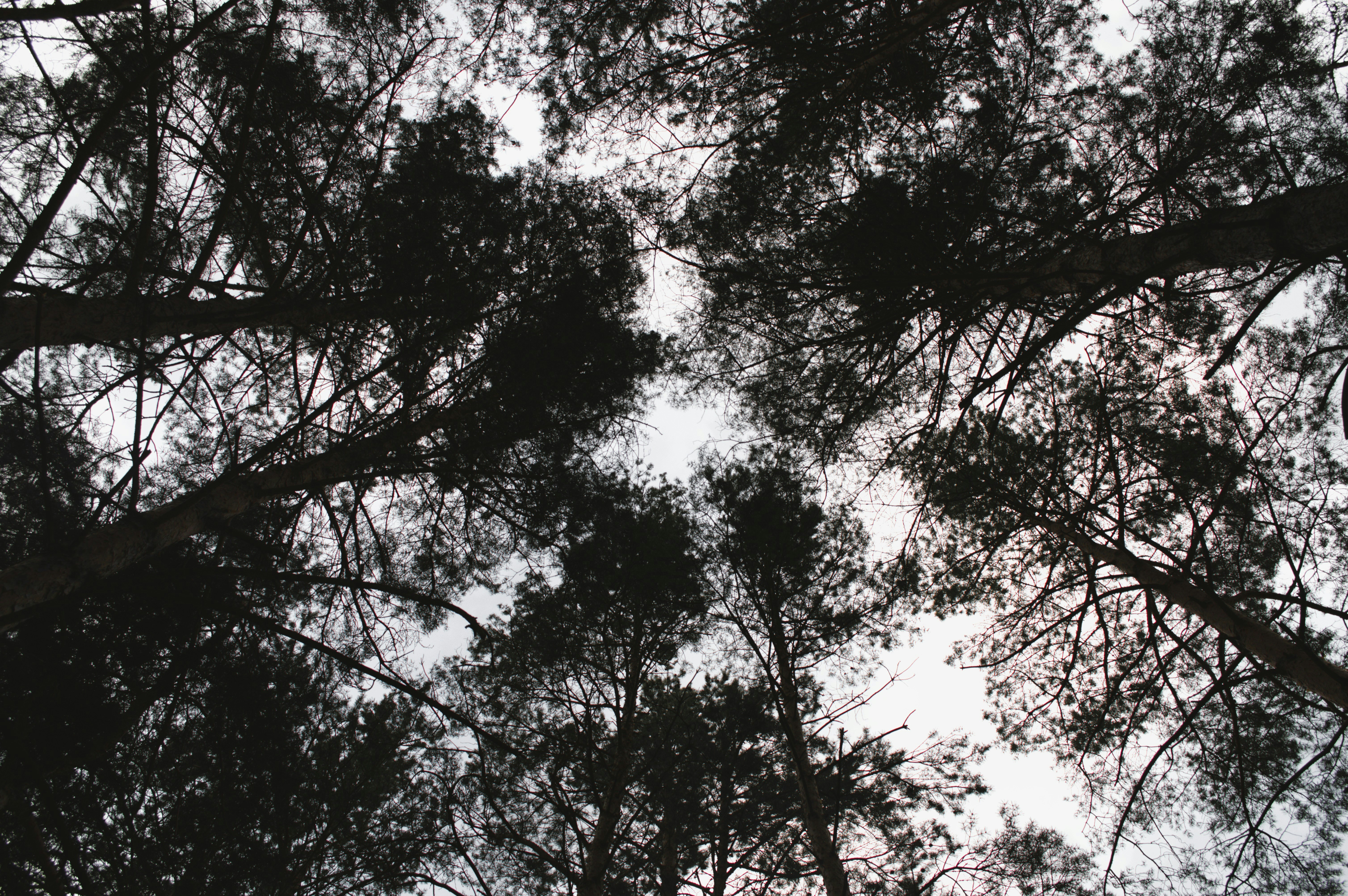Photo by hackiesack