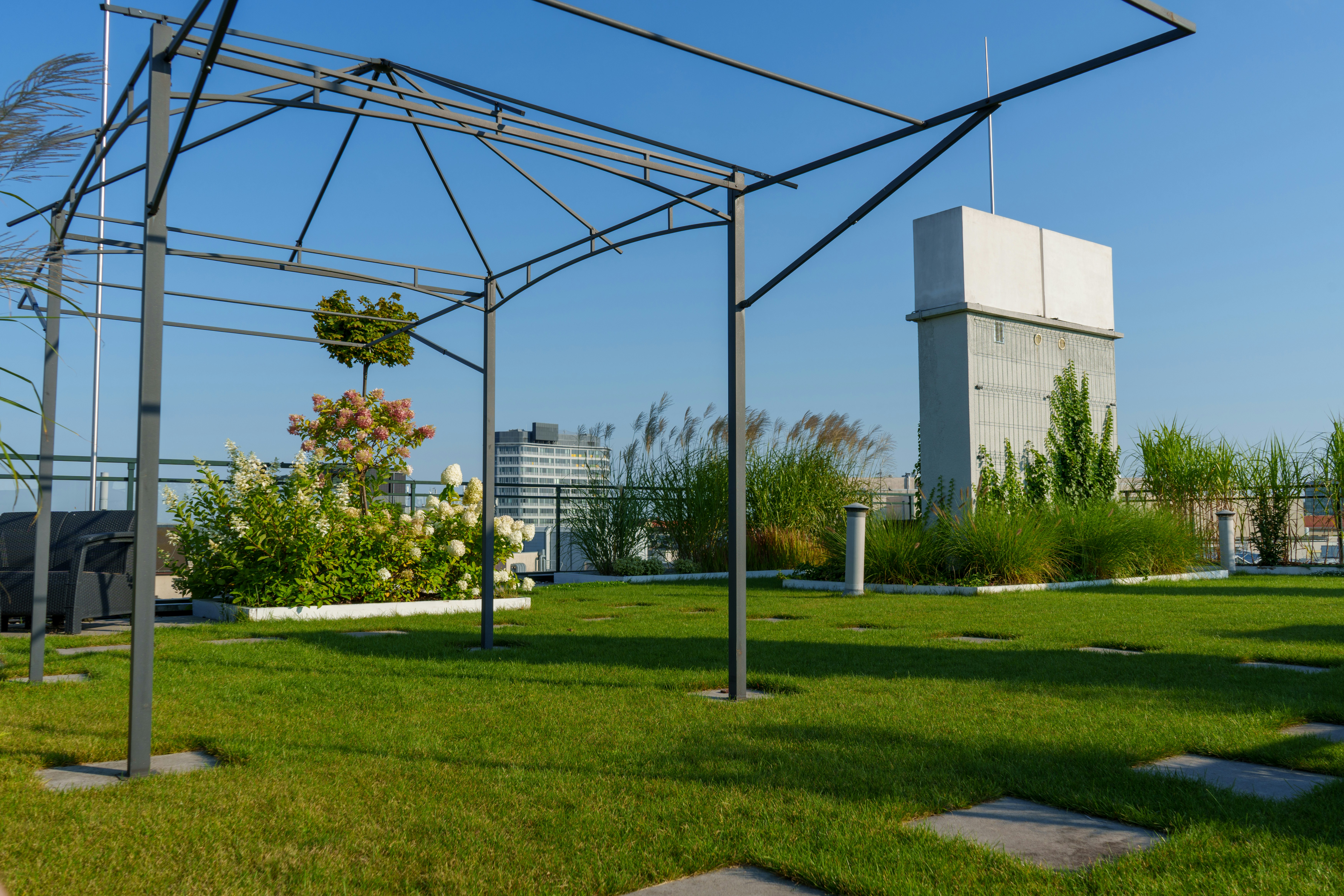 Rooftop garden with urban buildings under a clear sky