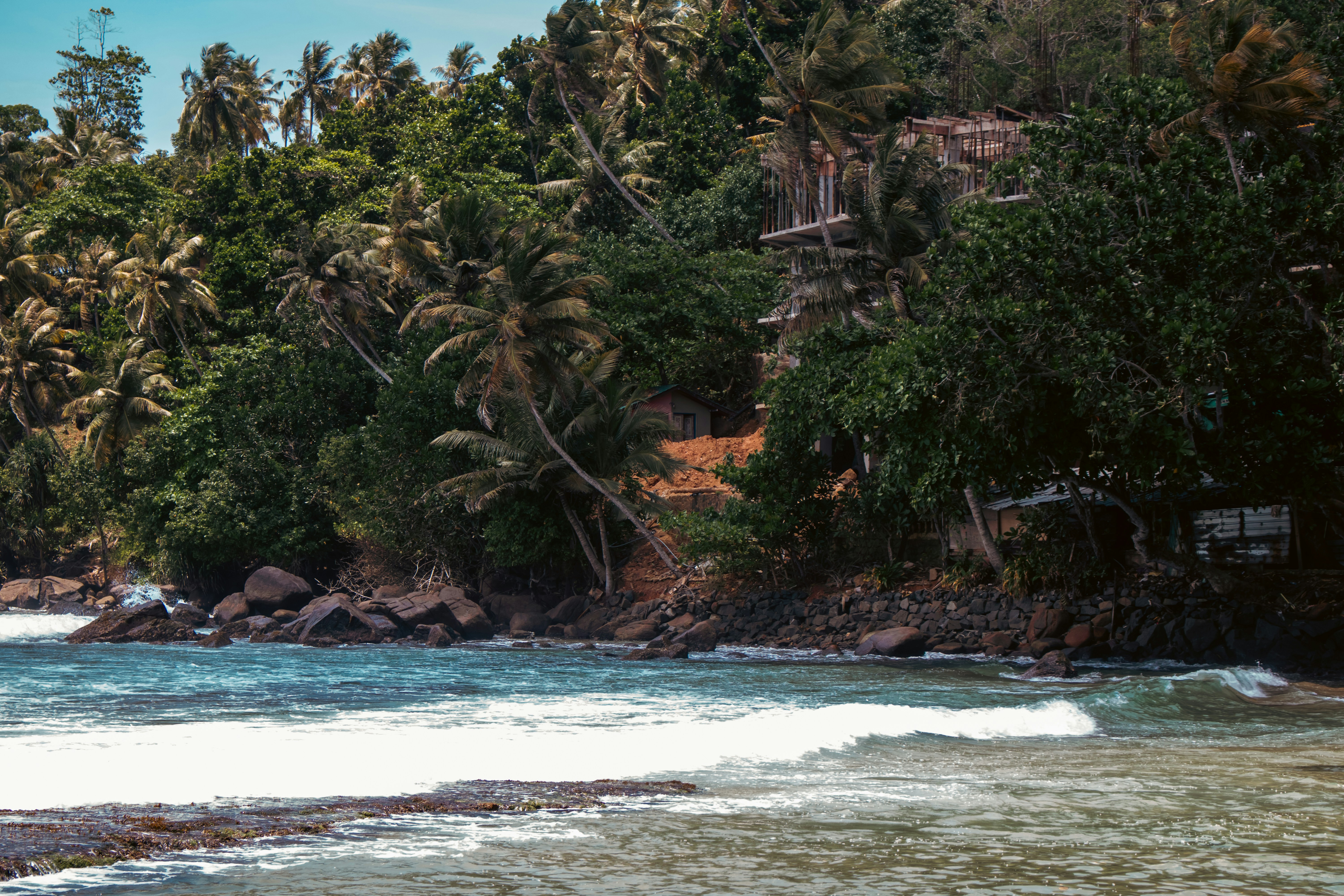 Tropical coastline with lush trees and ocean waves.
