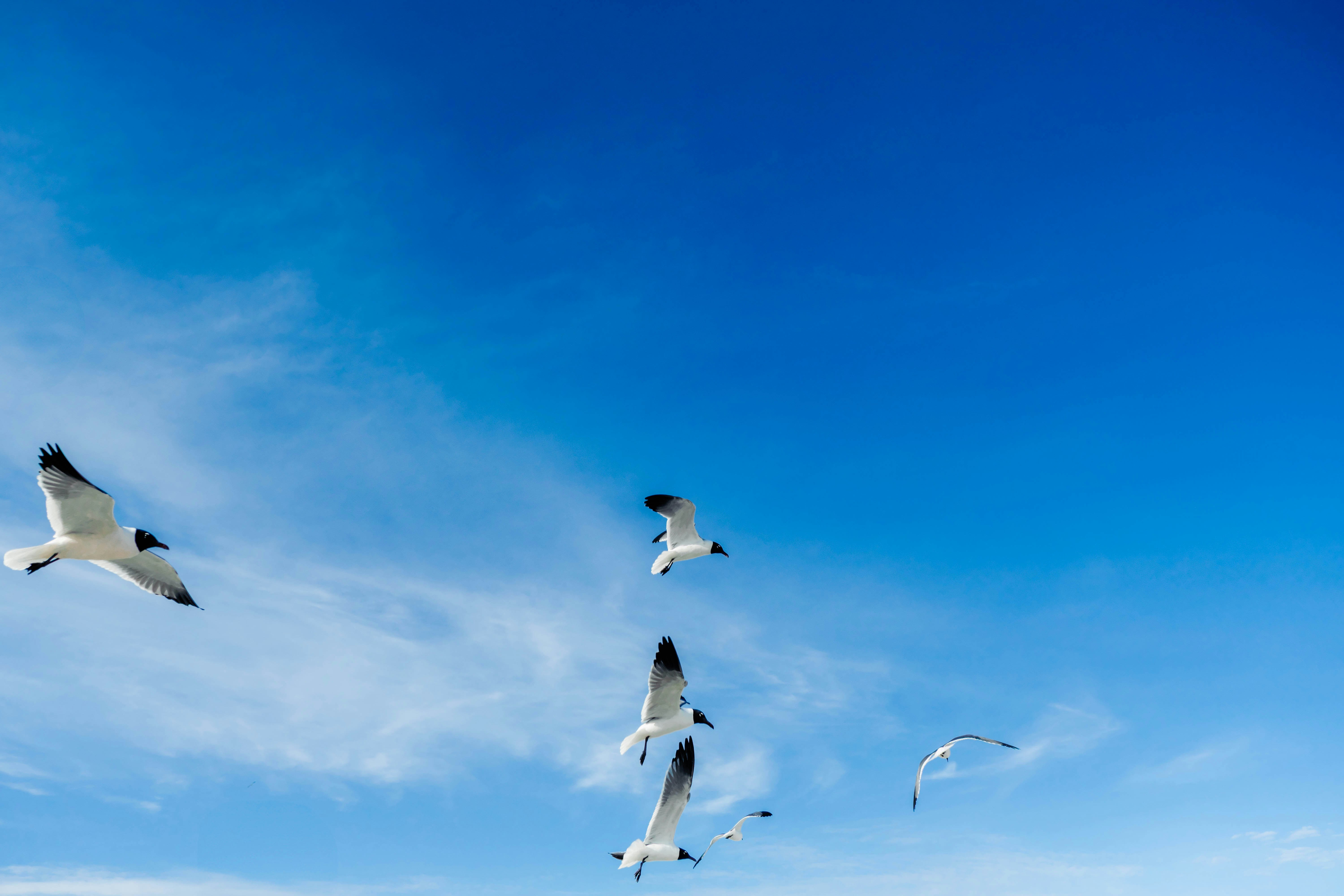 Photo by marcosperezfoto