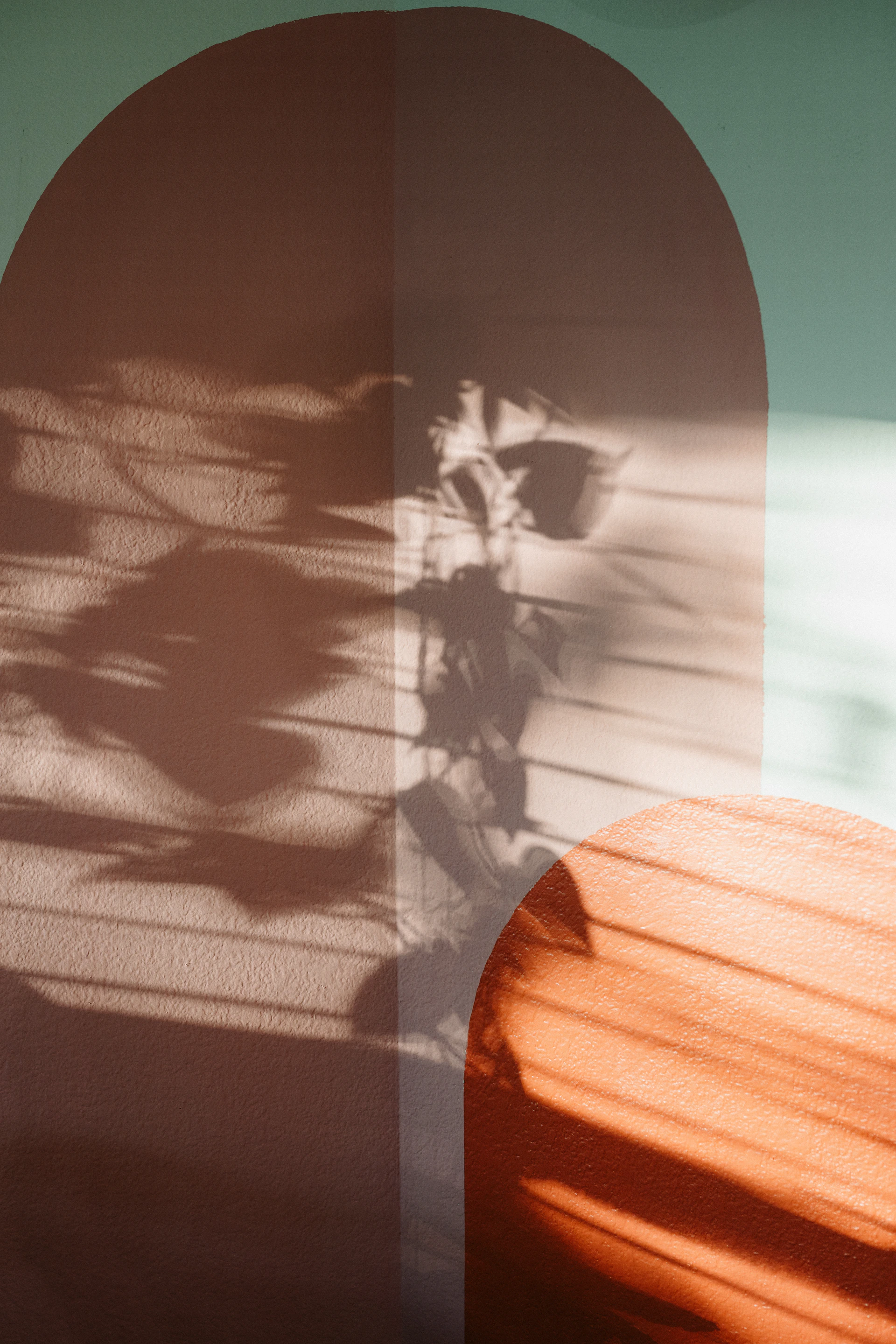 Shadows of foliage and lines on arch-painted wall.