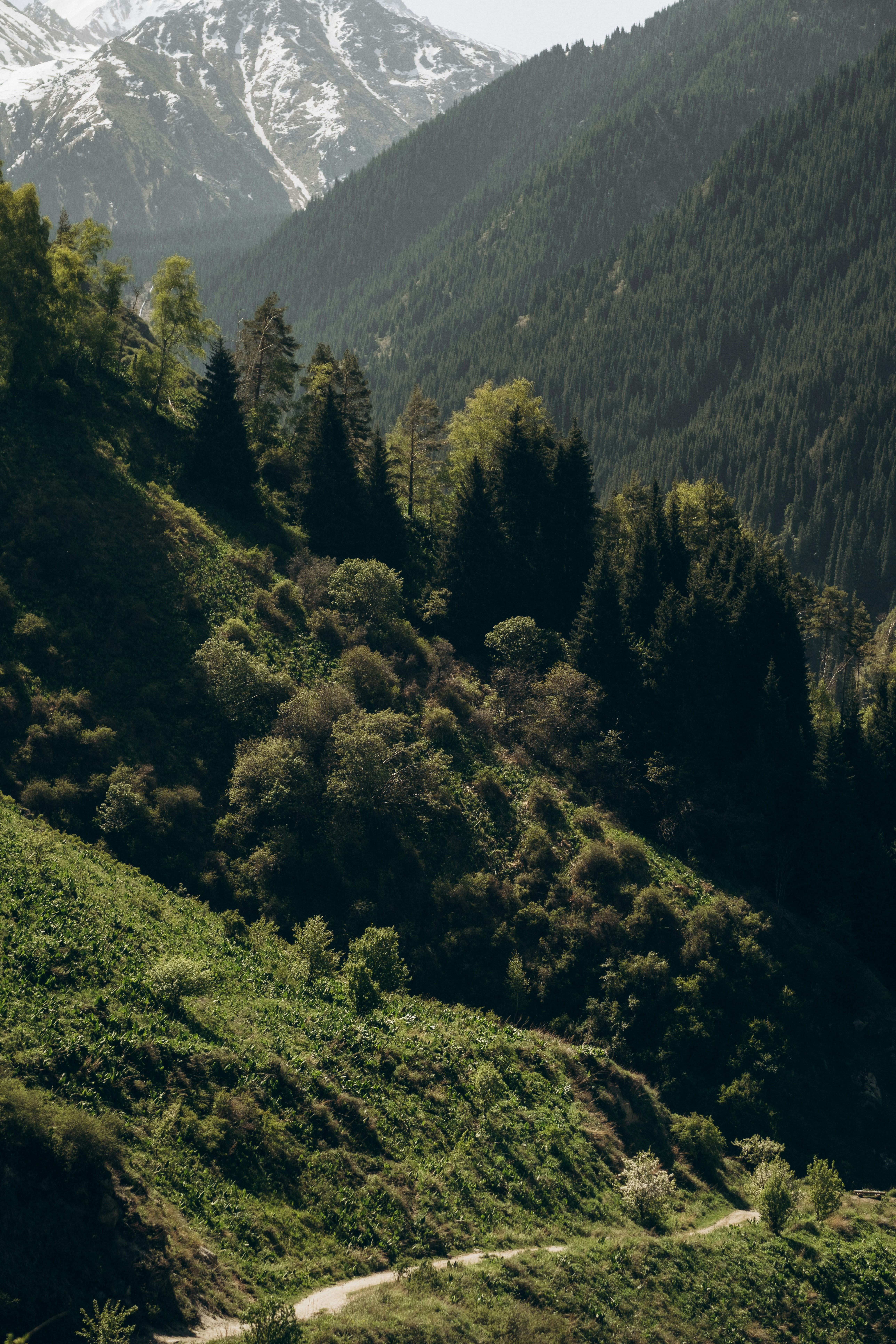 Photo by katishna