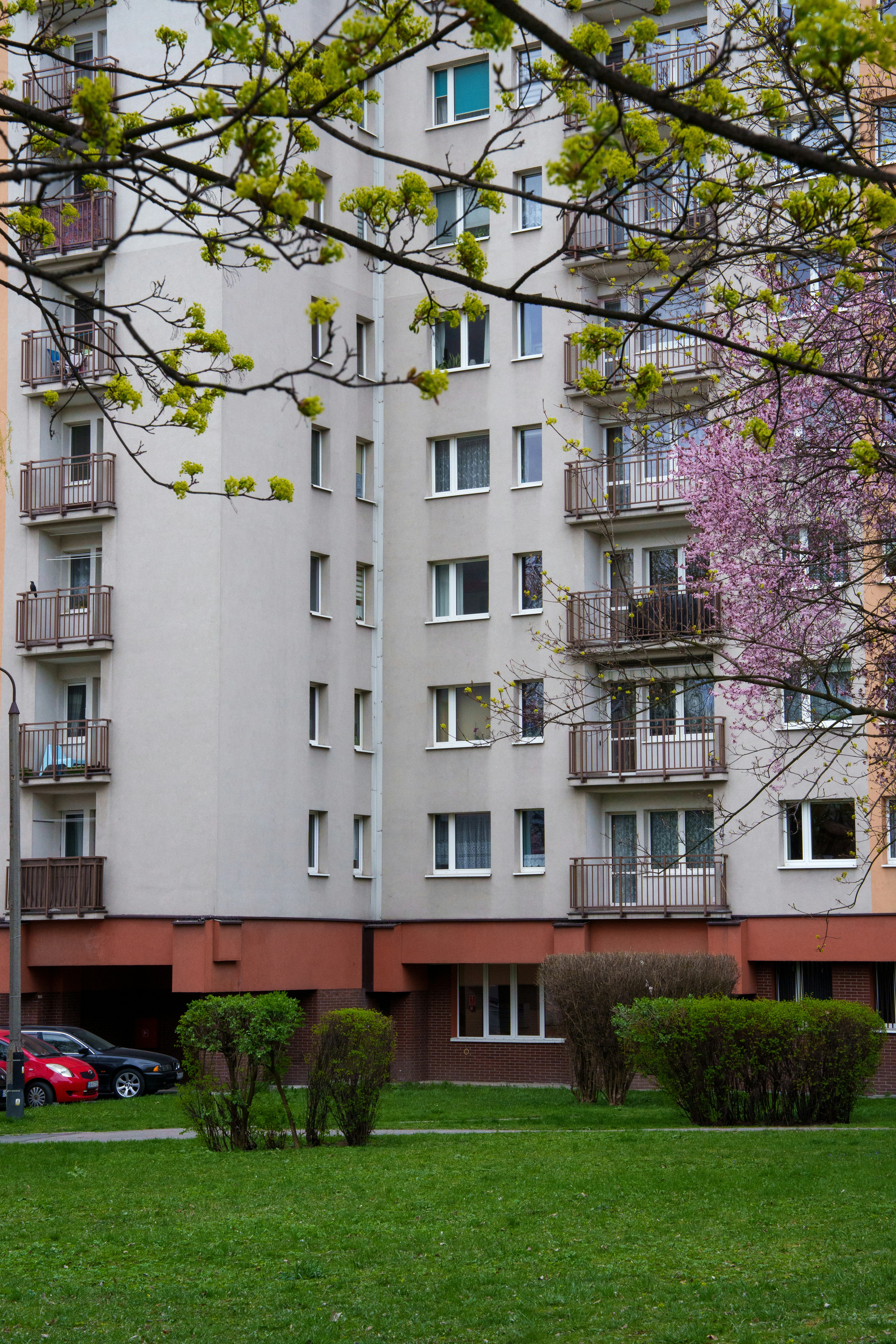 Photo by ftodne