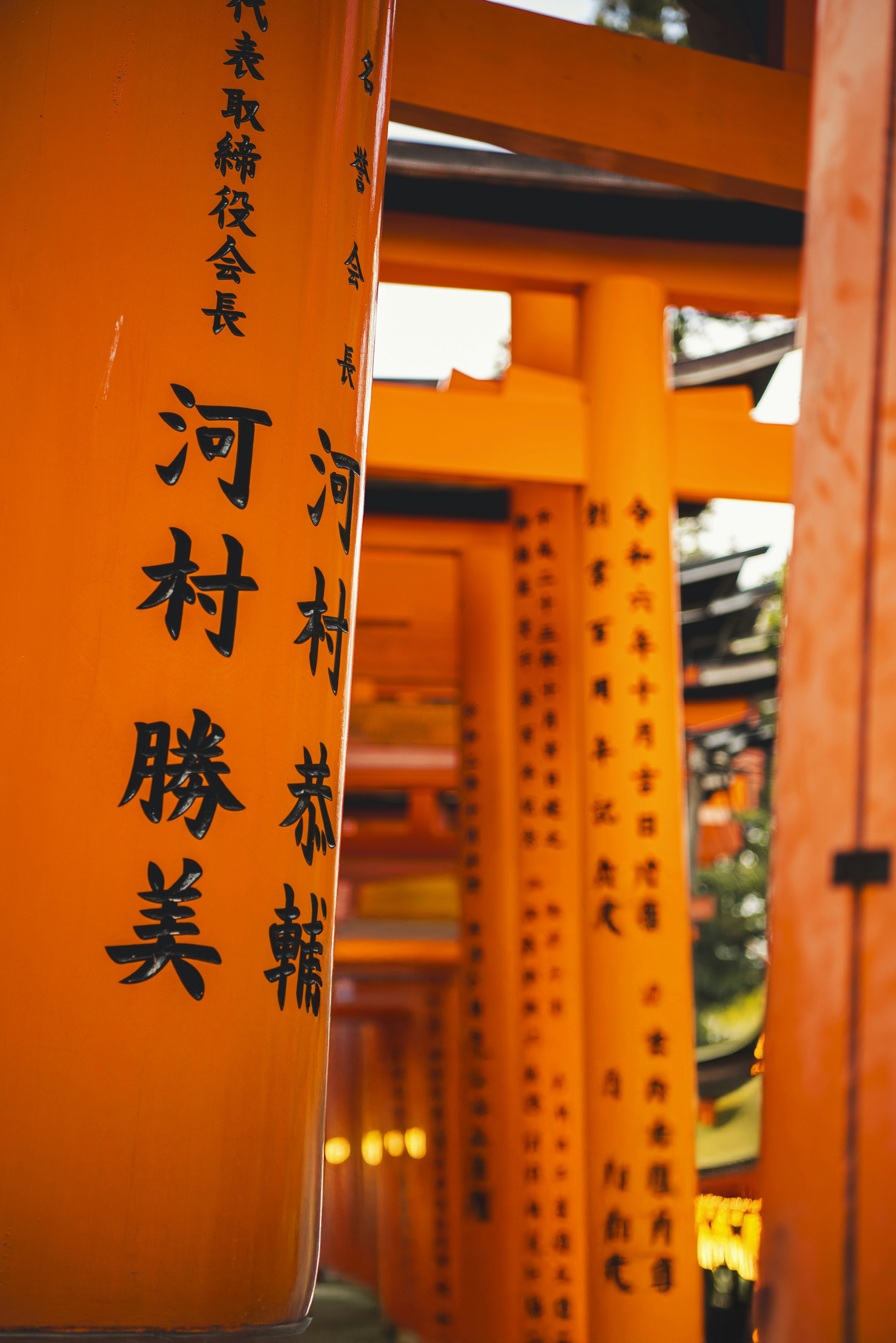 Orange torii gates with japanese writing