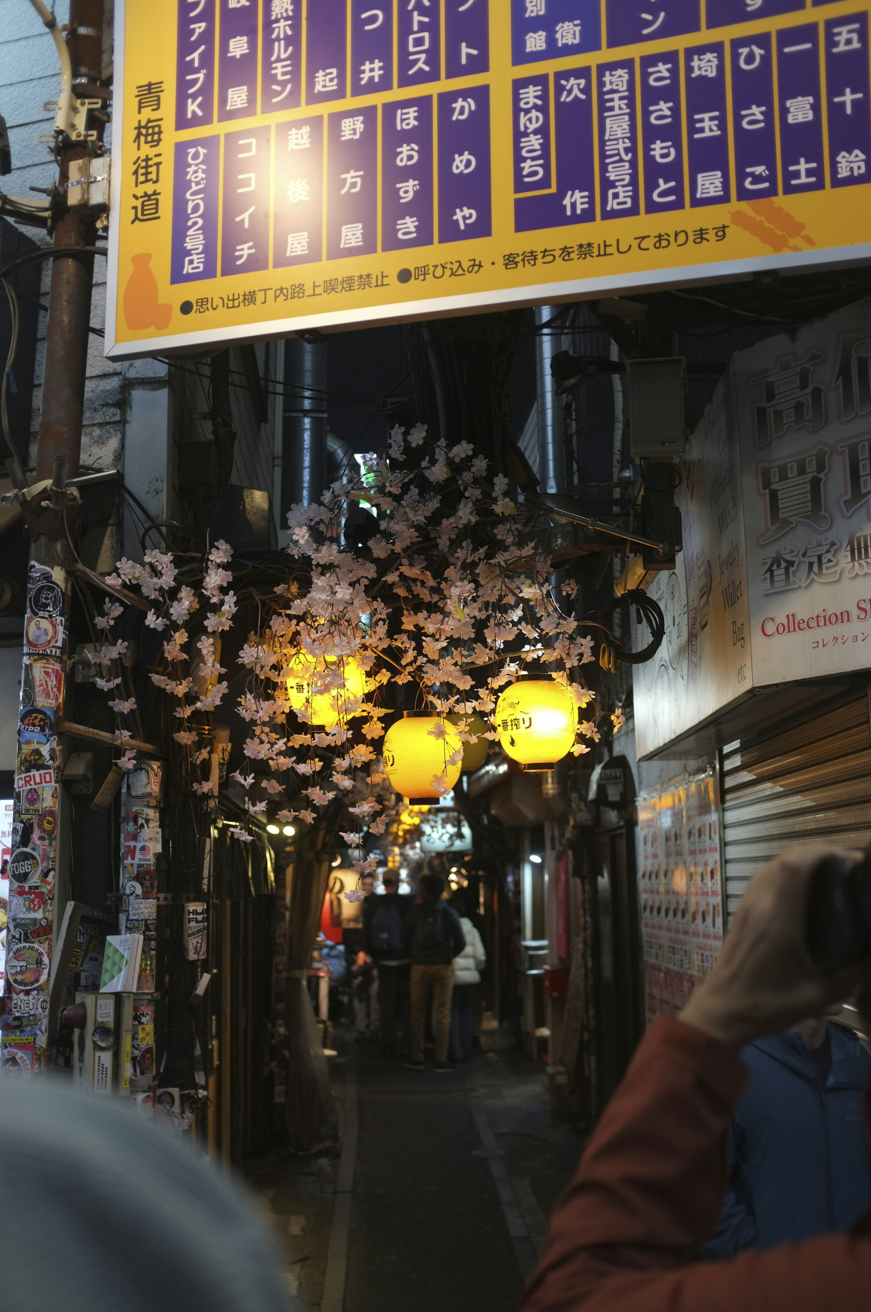 Narrow alleyway with japanese lanterns and cherry blossoms.