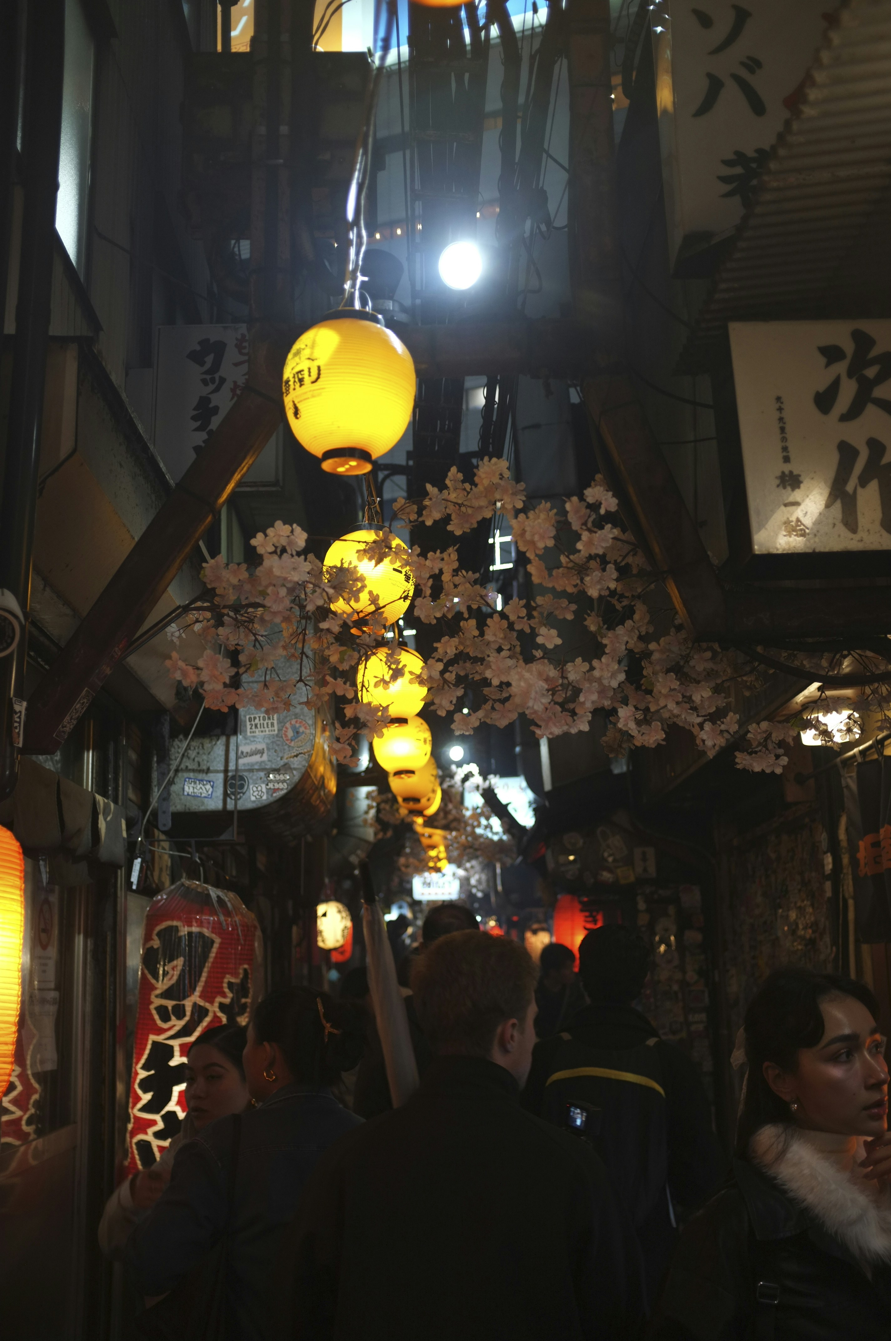 Night alley with glowing lanterns and cherry blossoms.