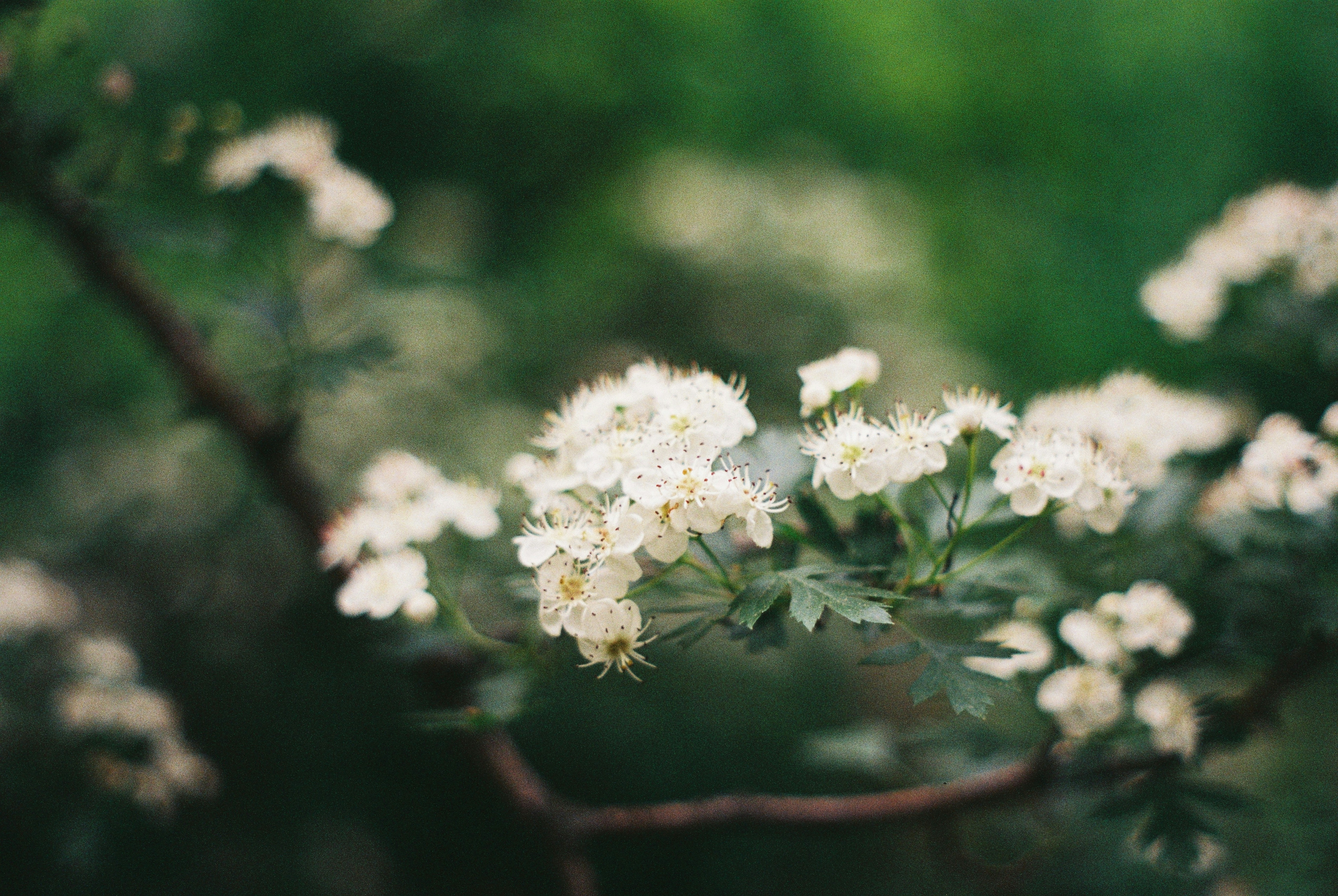 Photo by dmitrii_filatov