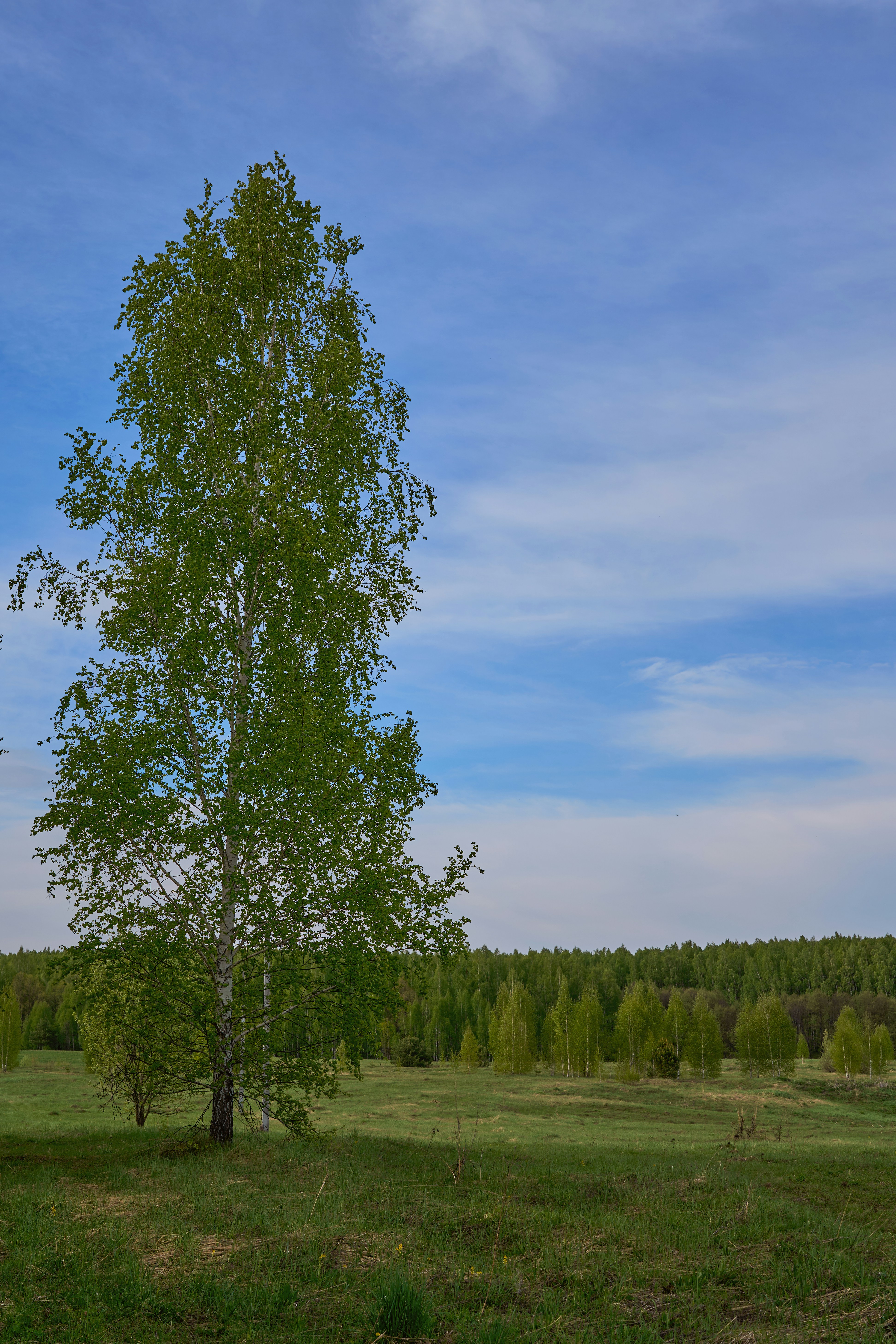 Day Trip or Overnight? How Long You Actually Need