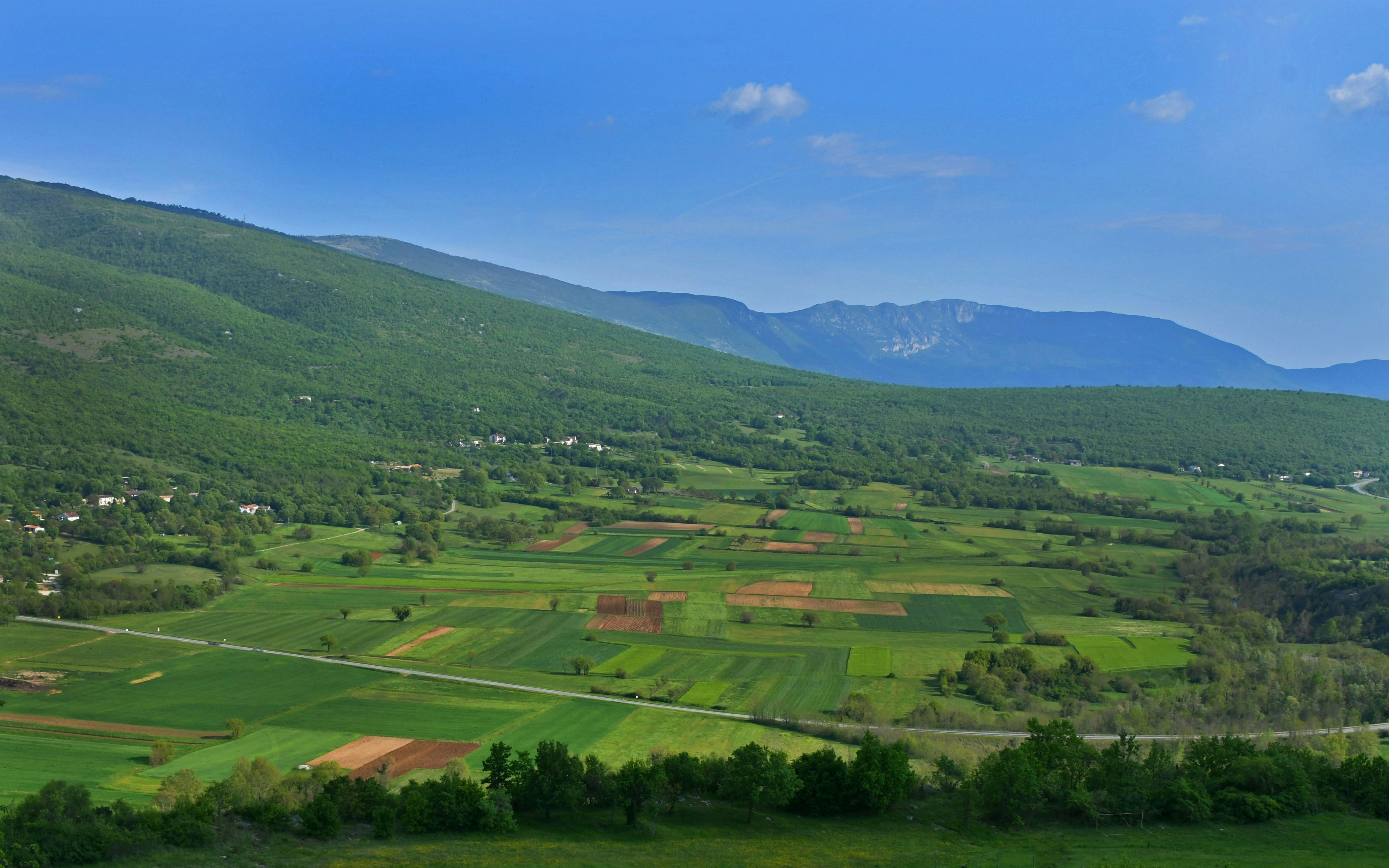 Photo by leonsky