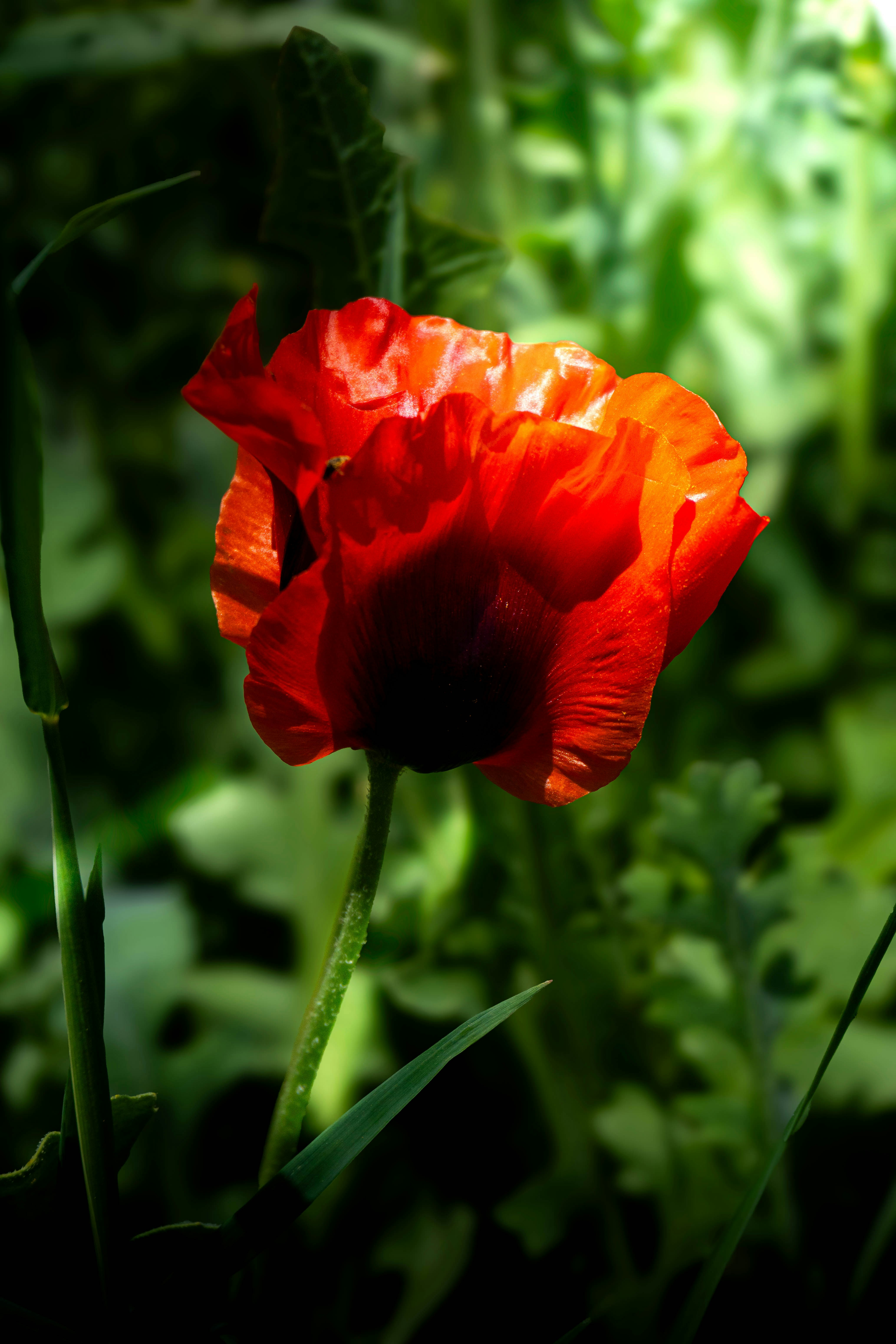 Photo by maviatlas