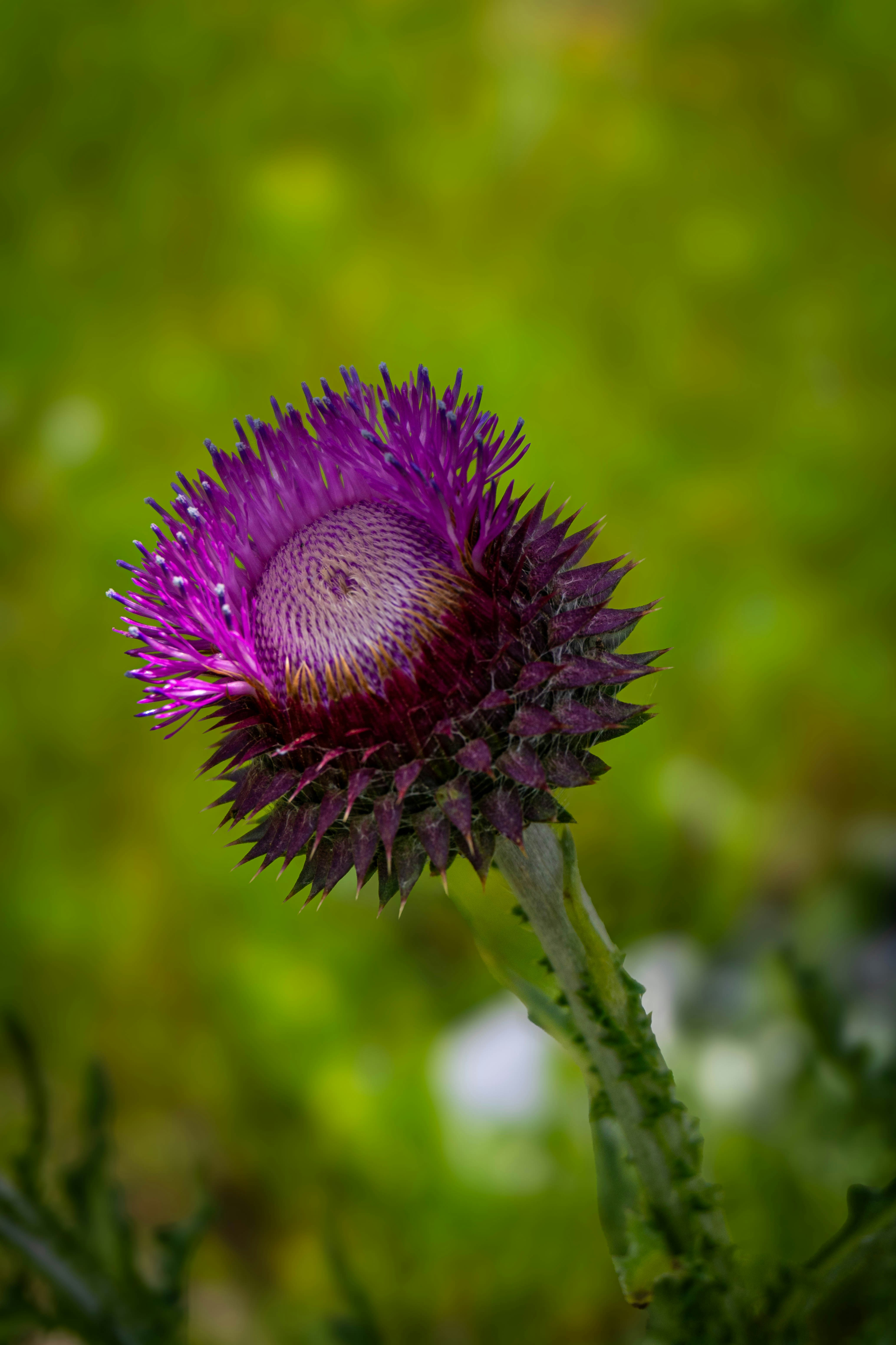Photo by maviatlas