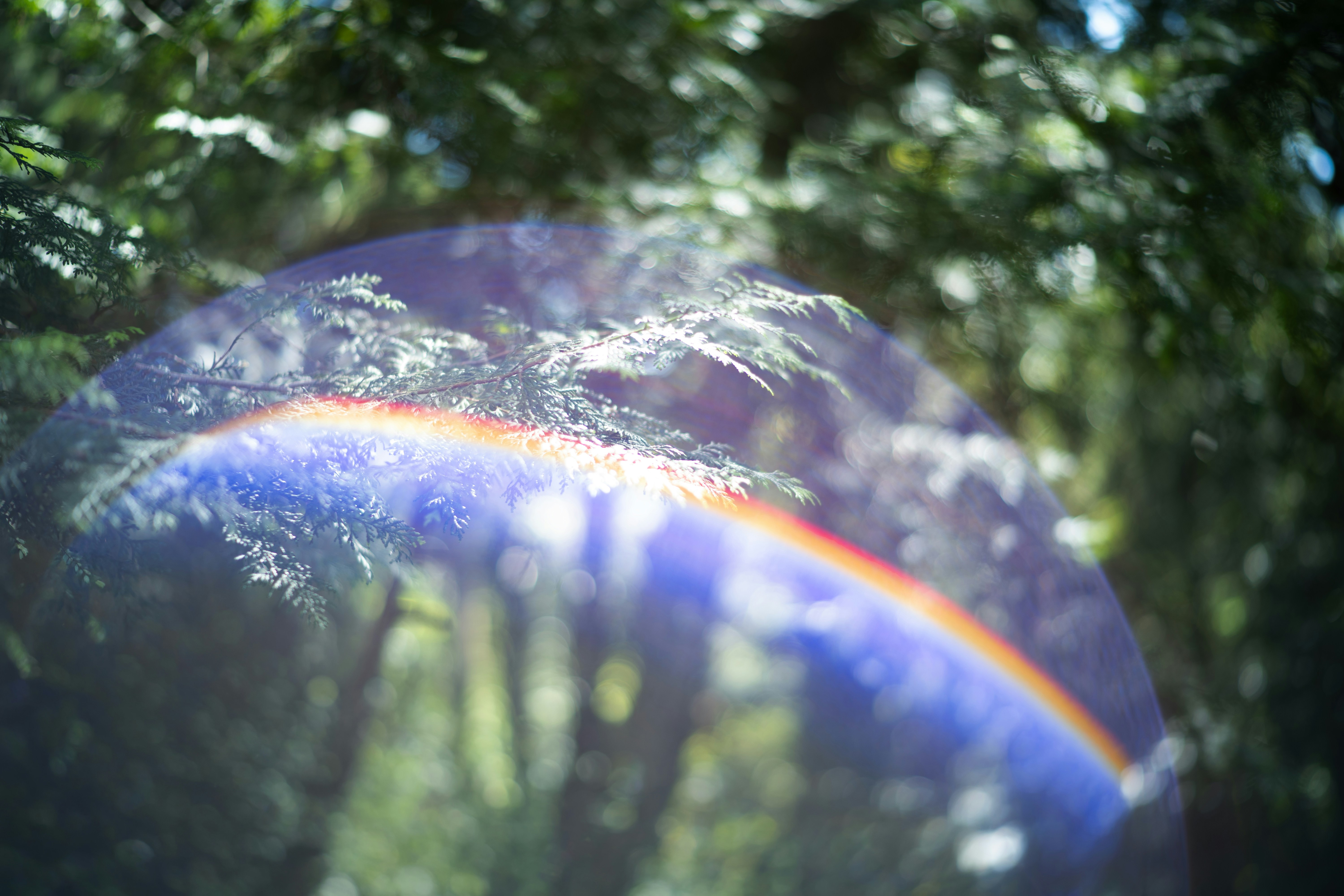 A colorful lens flare over blurred green trees and foliage